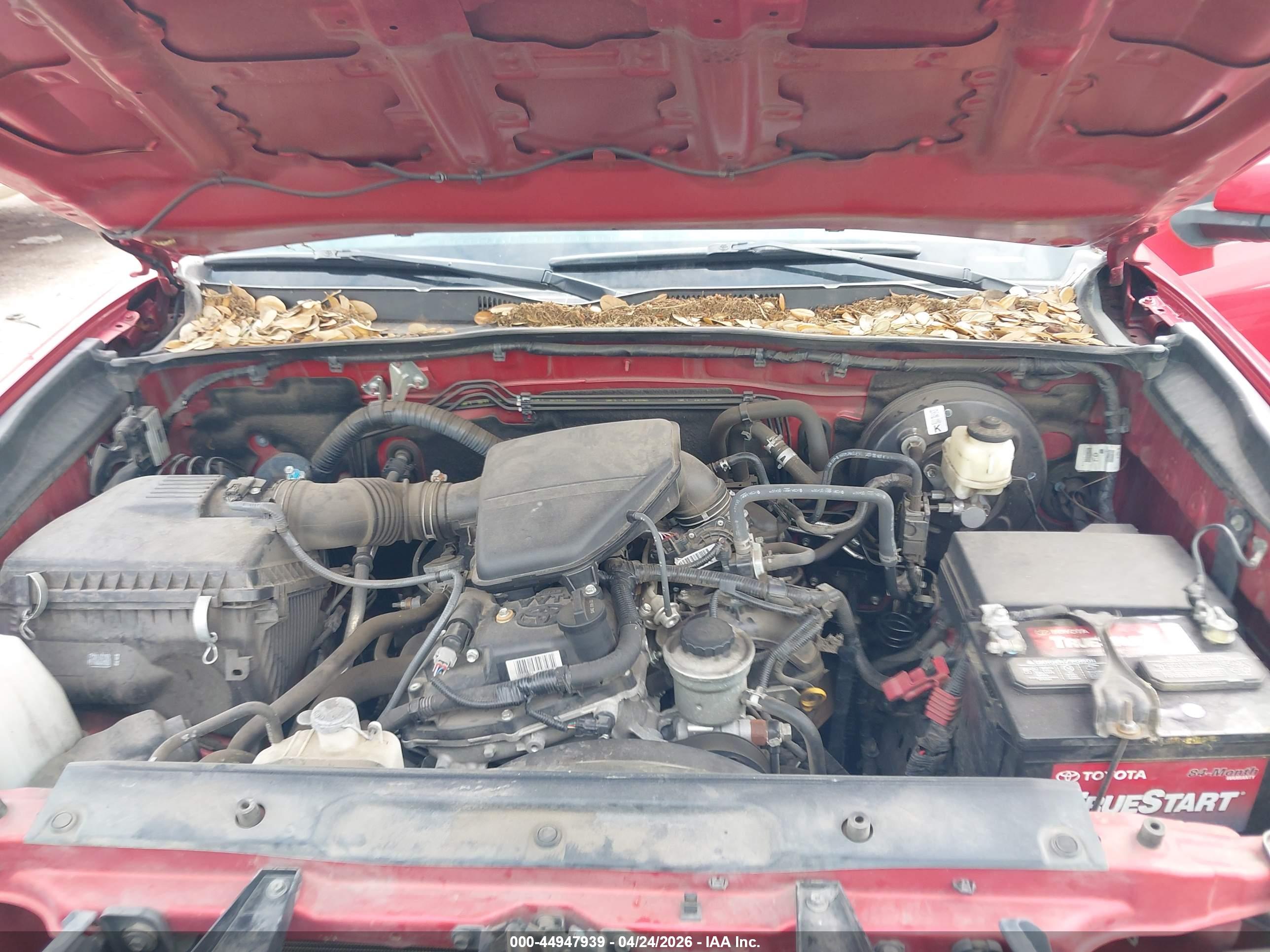 TOYOTA TACOMA image 10