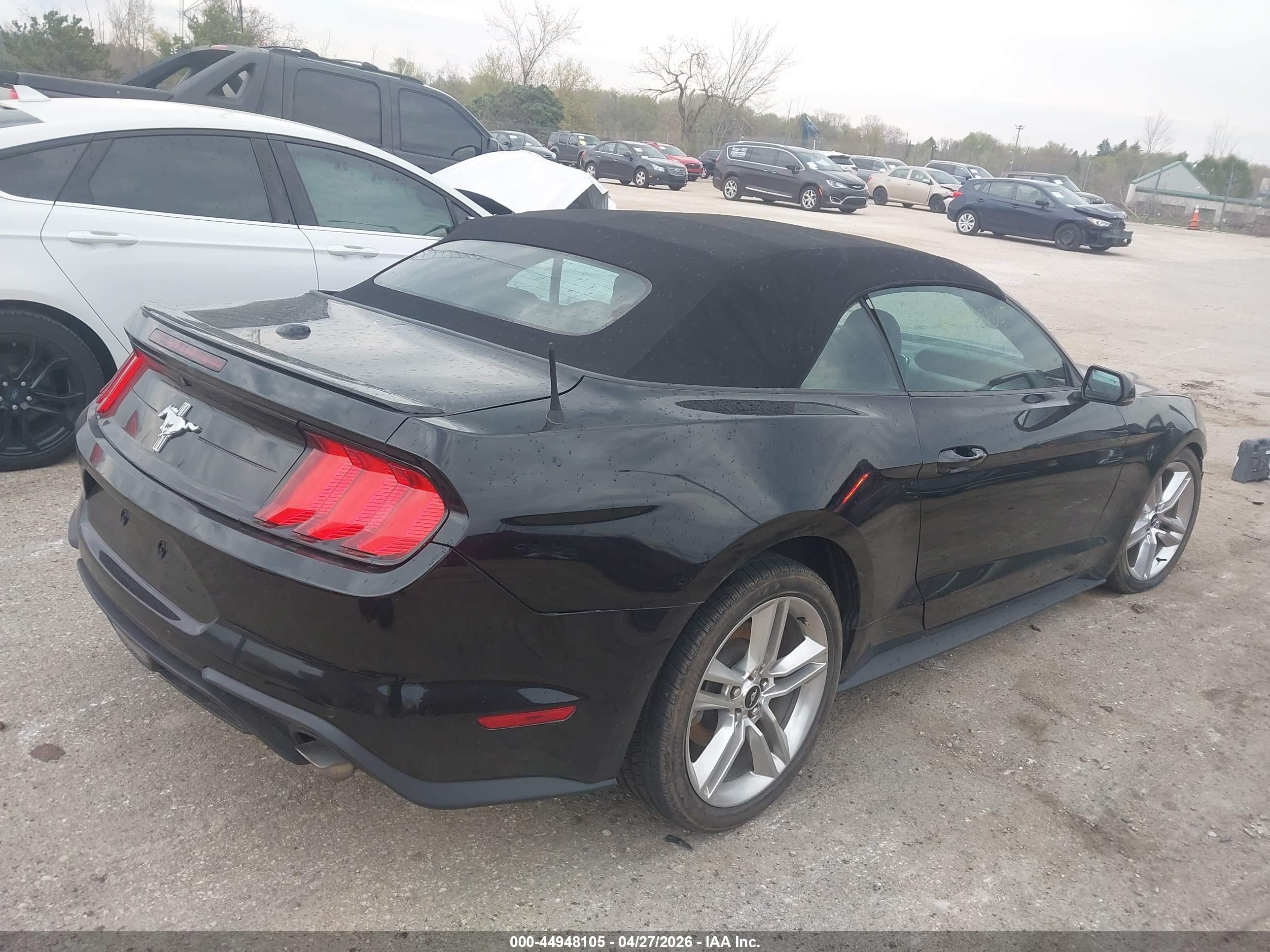 FORD MUSTANG image 4