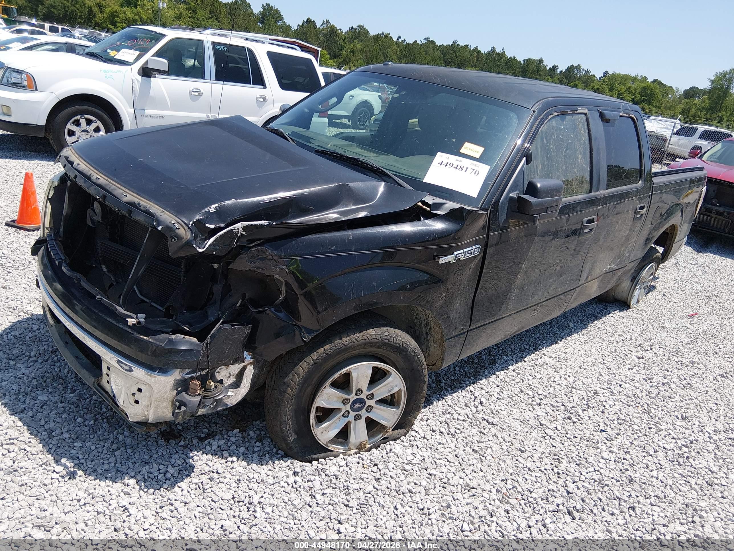 FORD F-150 image 2
