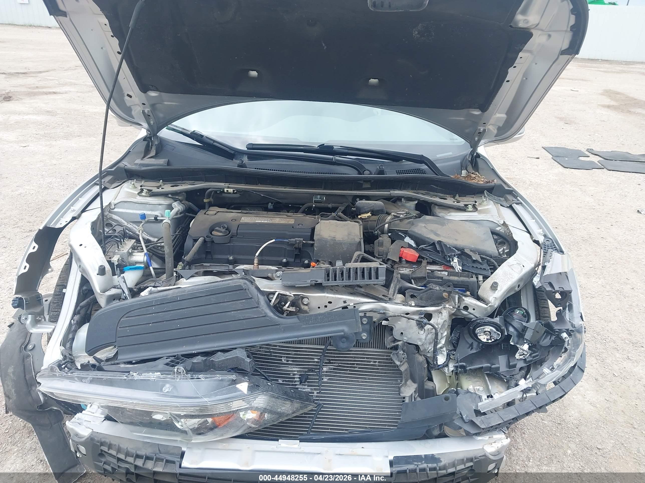 HONDA ACCORD image 10