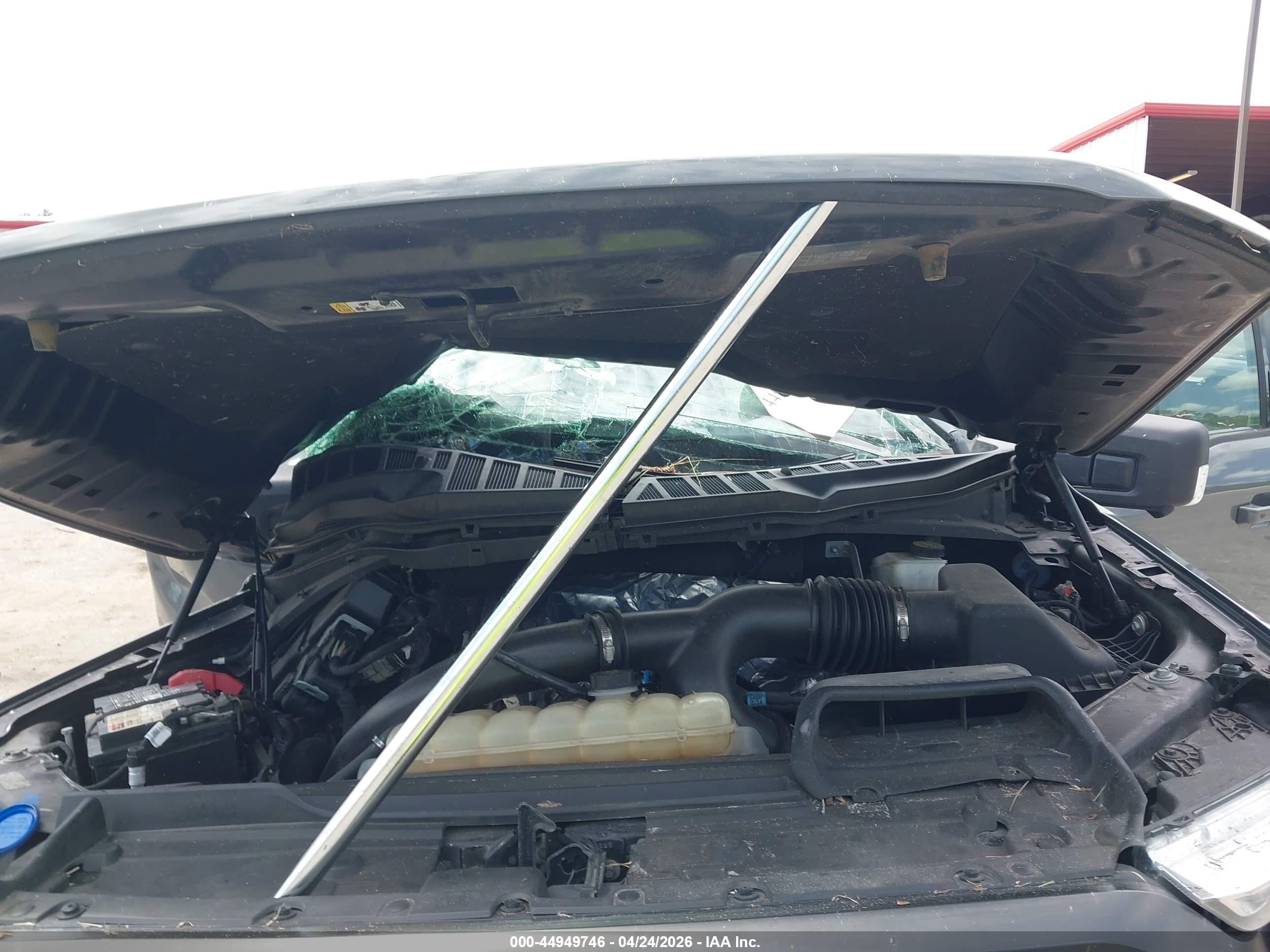 FORD F-150 image 10