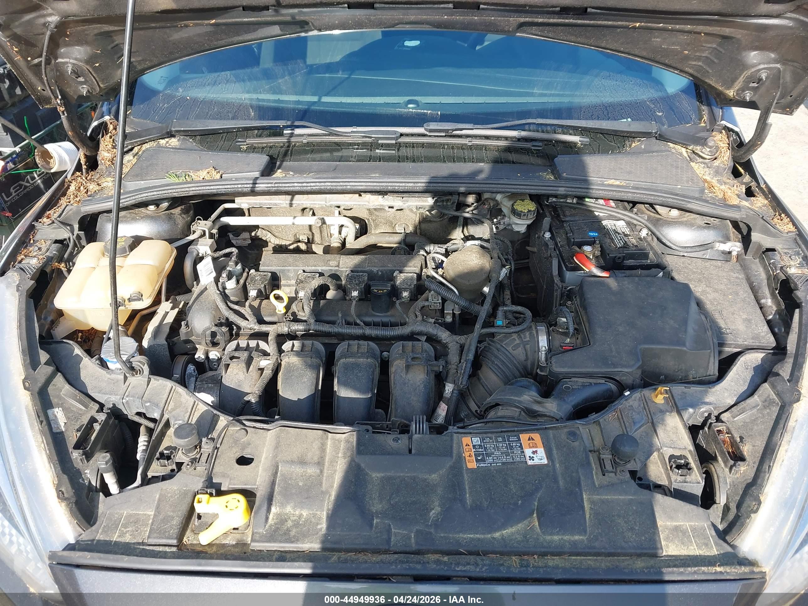 FORD FOCUS image 10