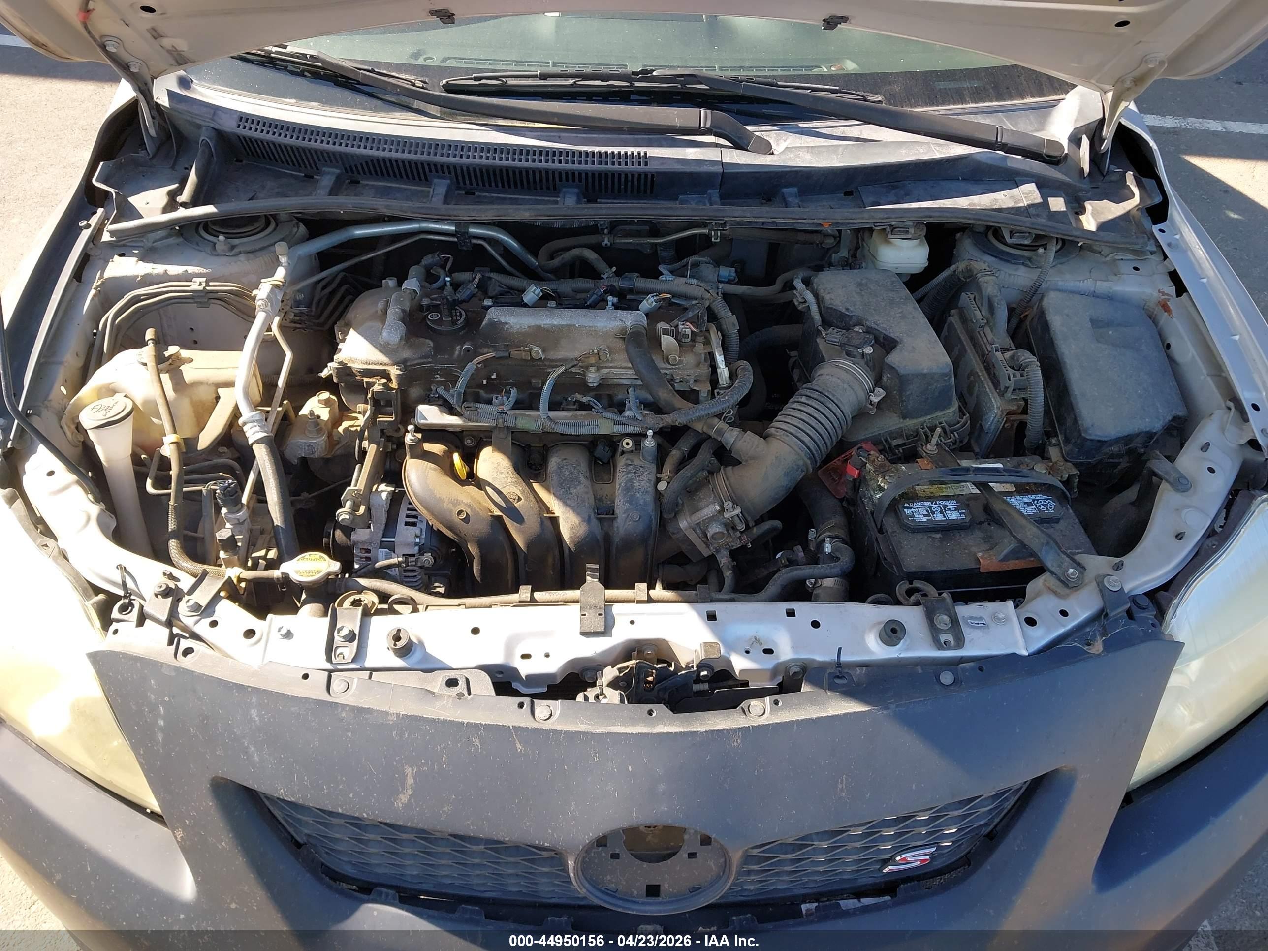 TOYOTA COROLLA image 10