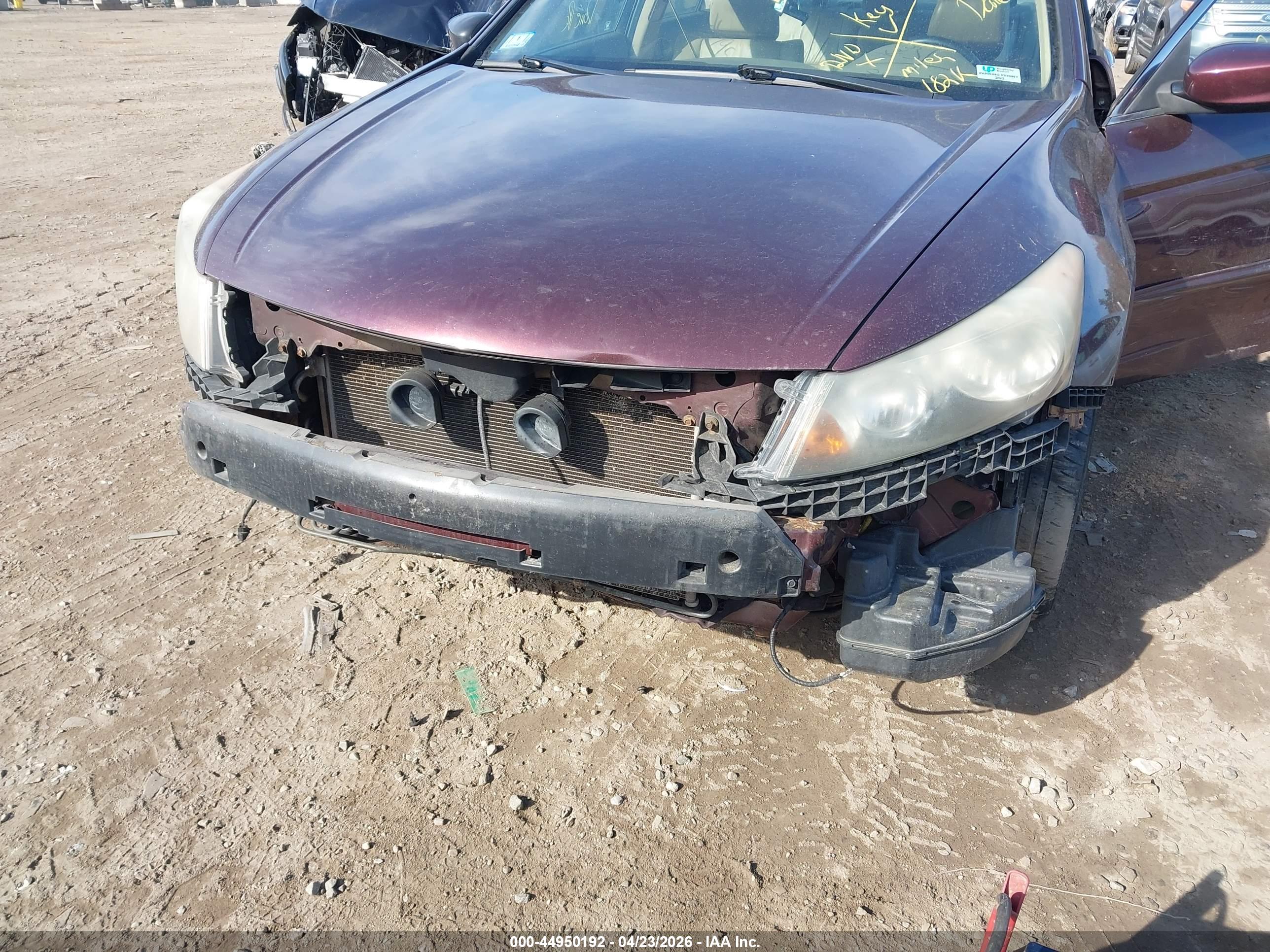 HONDA ACCORD image 6