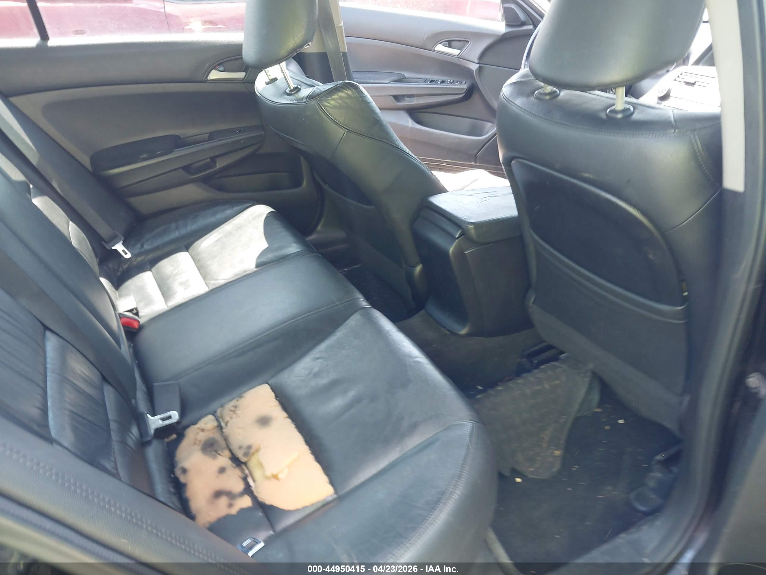 HONDA ACCORD image 8