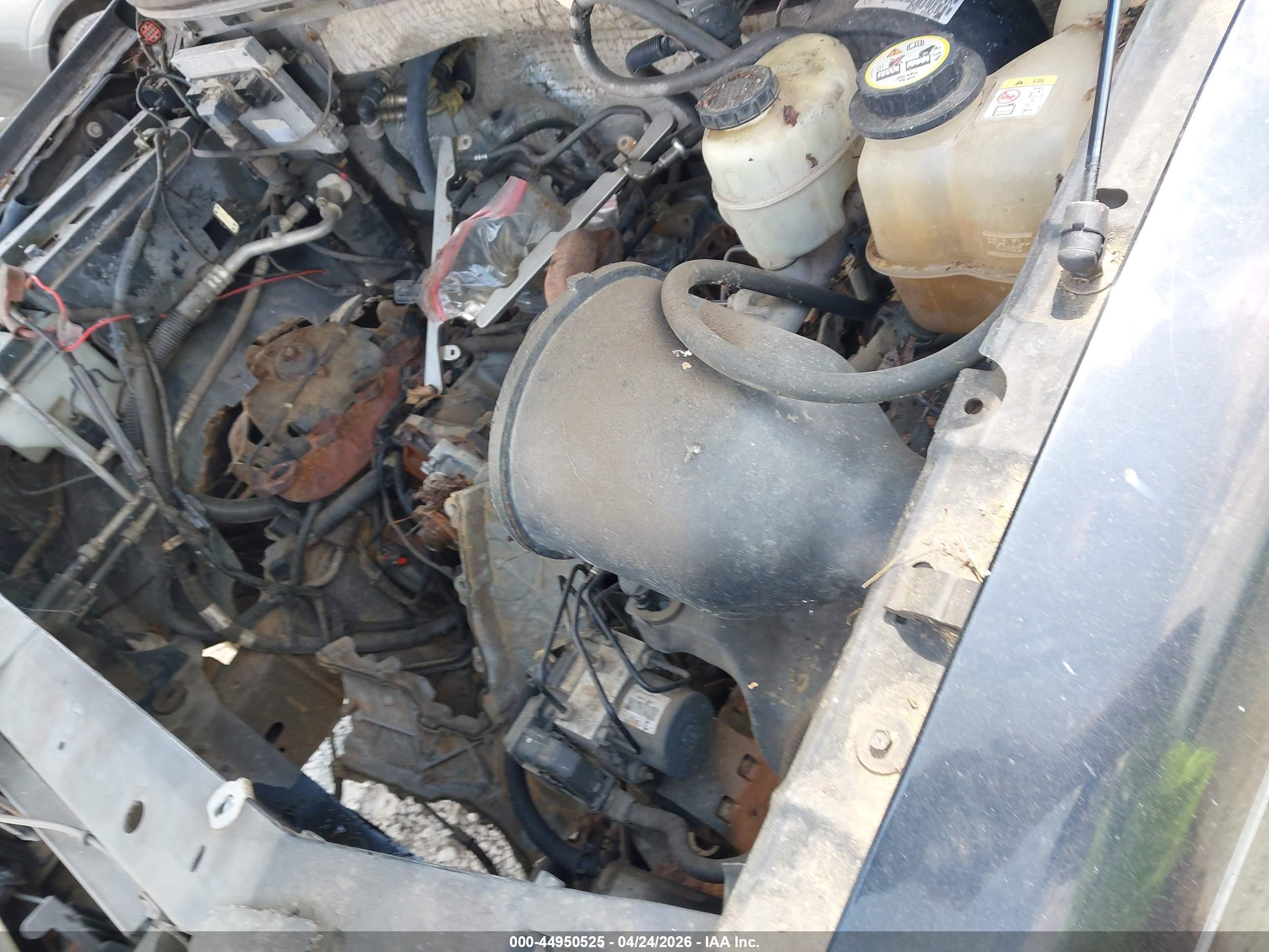 FORD F-150 image 6