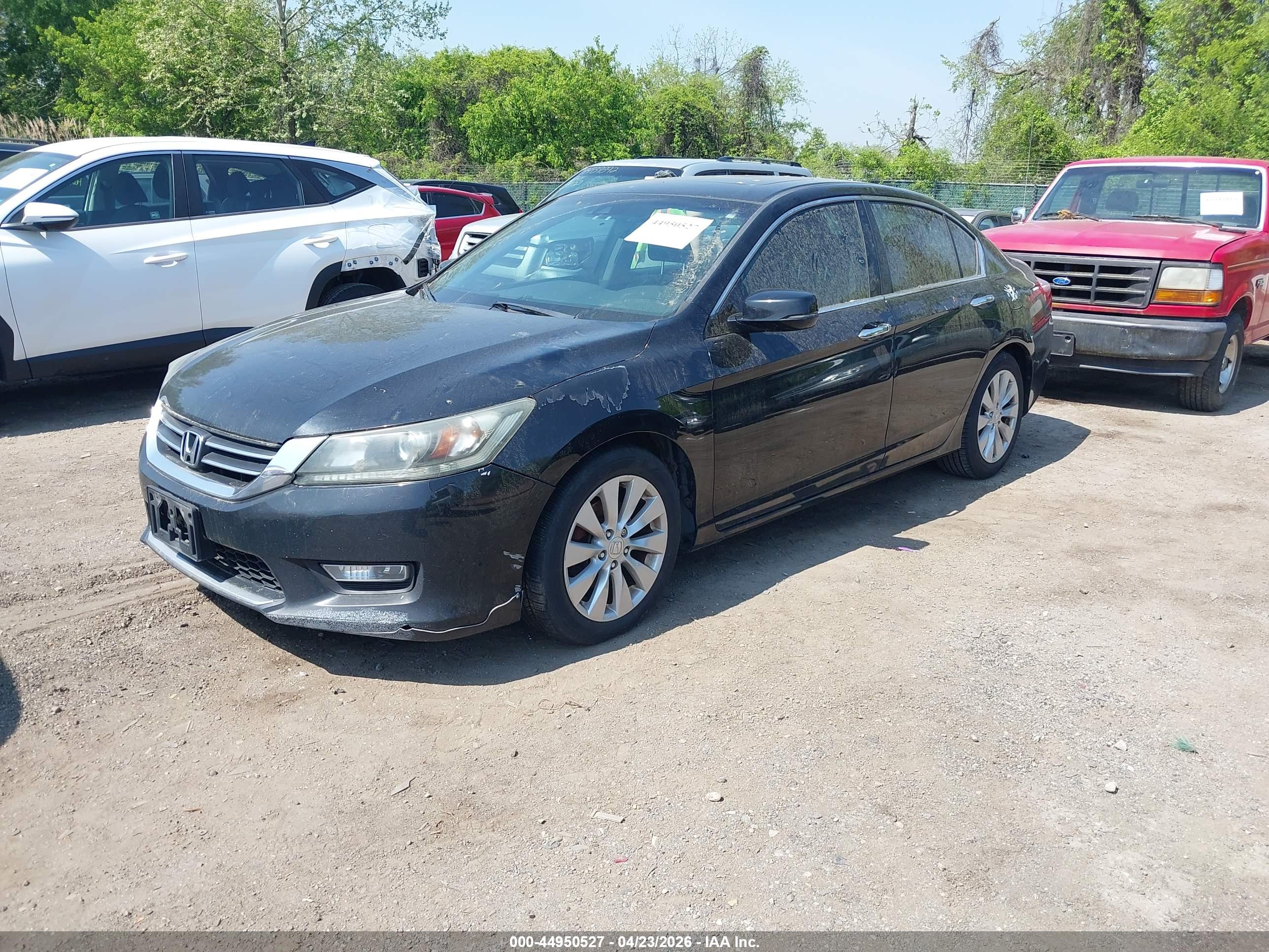 HONDA ACCORD image 2
