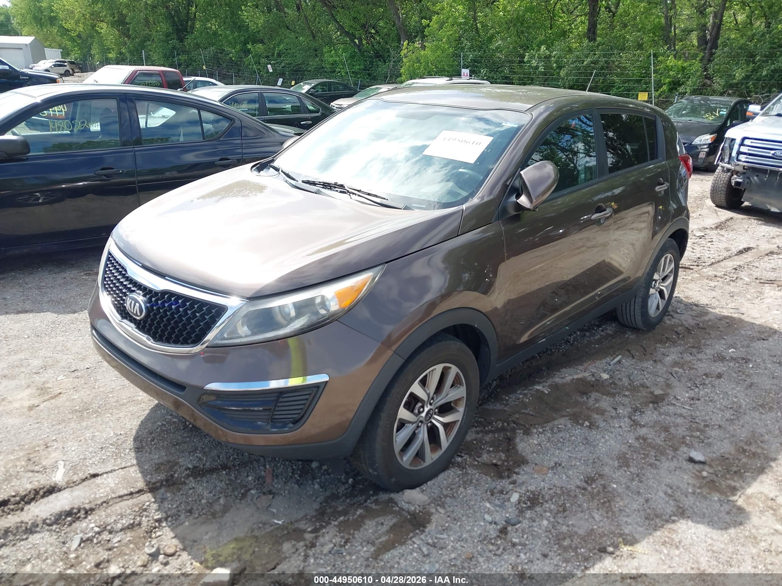 KIA SPORTAGE image 2