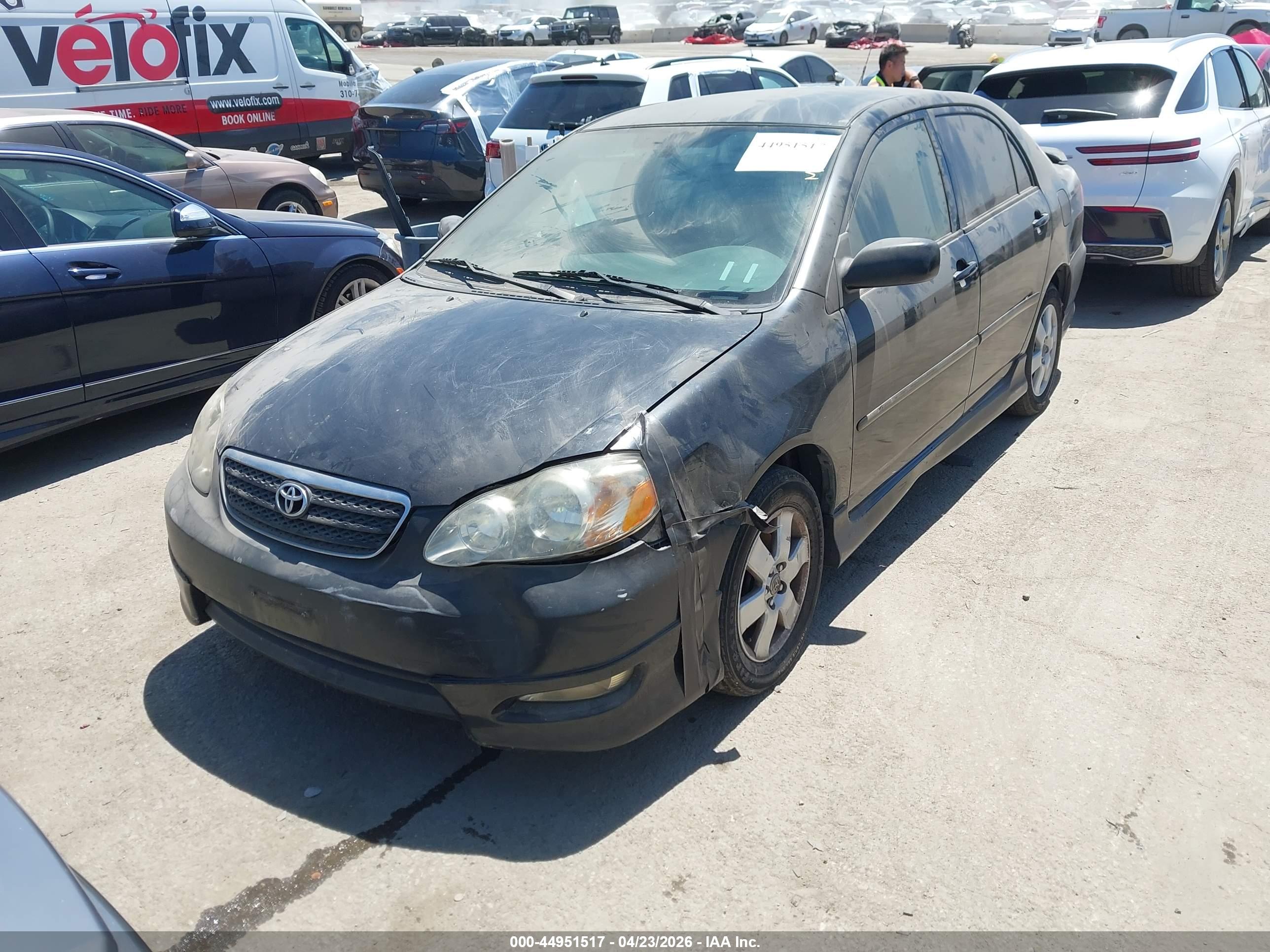 TOYOTA COROLLA image 2