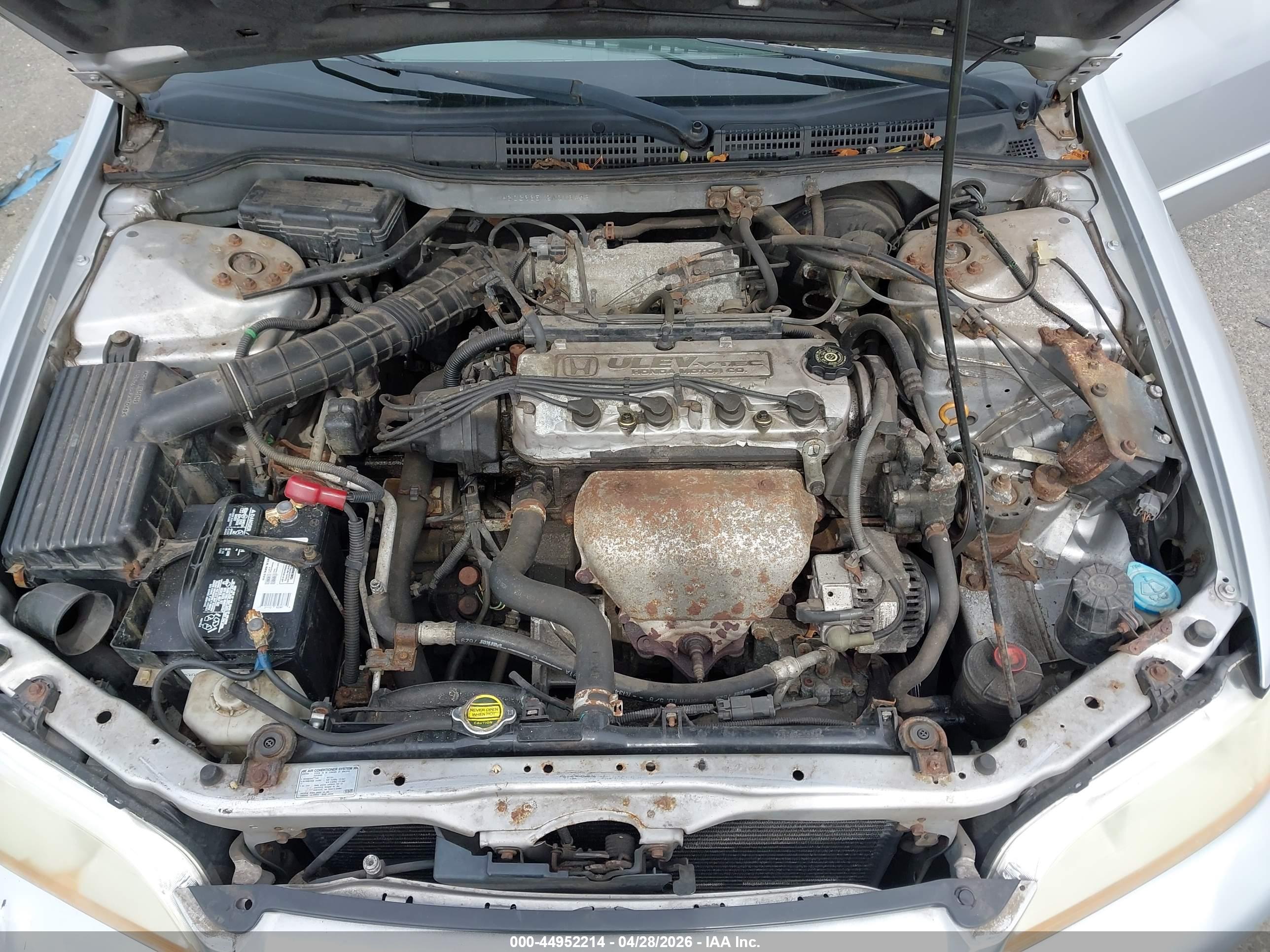 HONDA ACCORD image 10