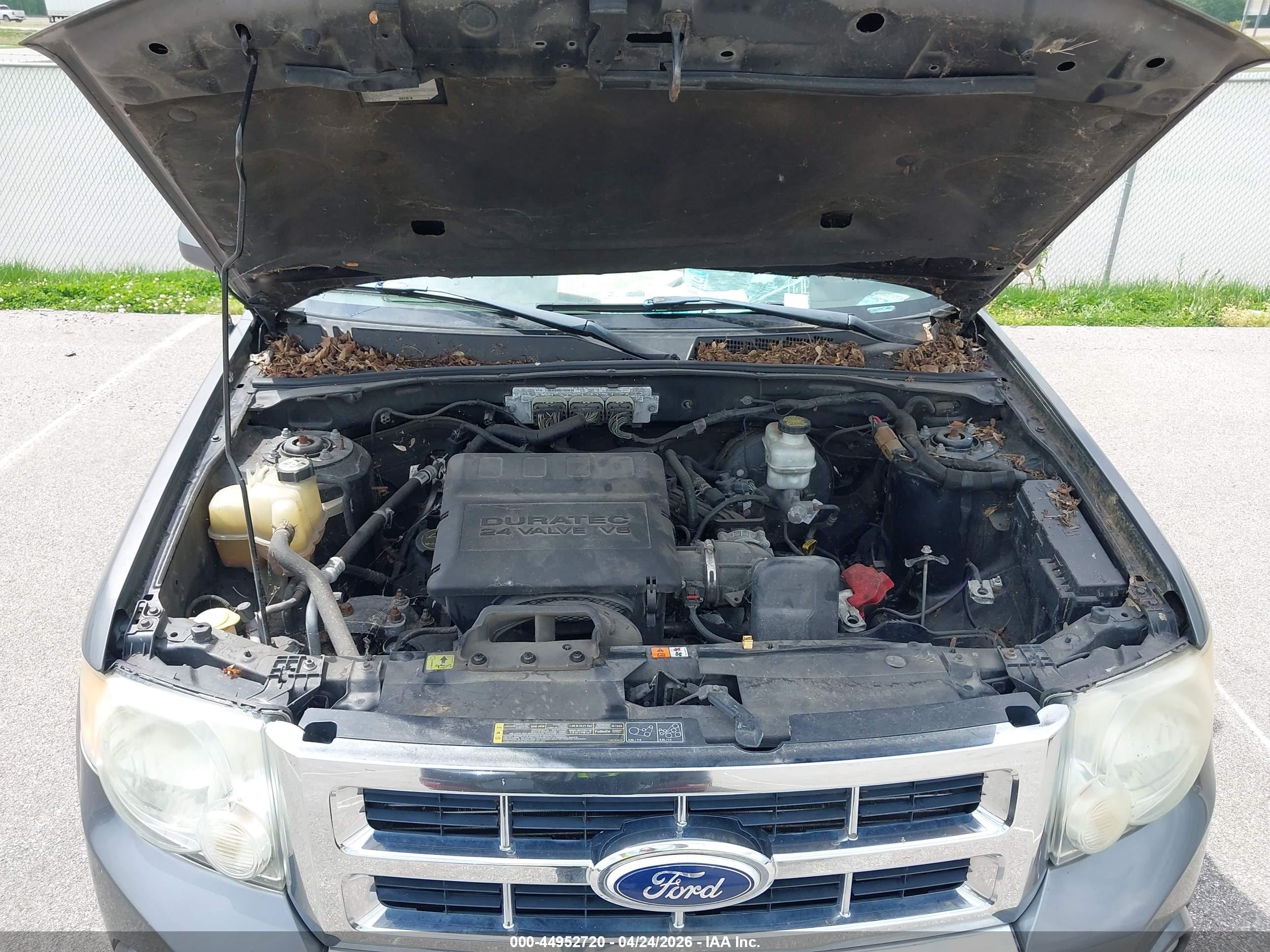 FORD ESCAPE image 10