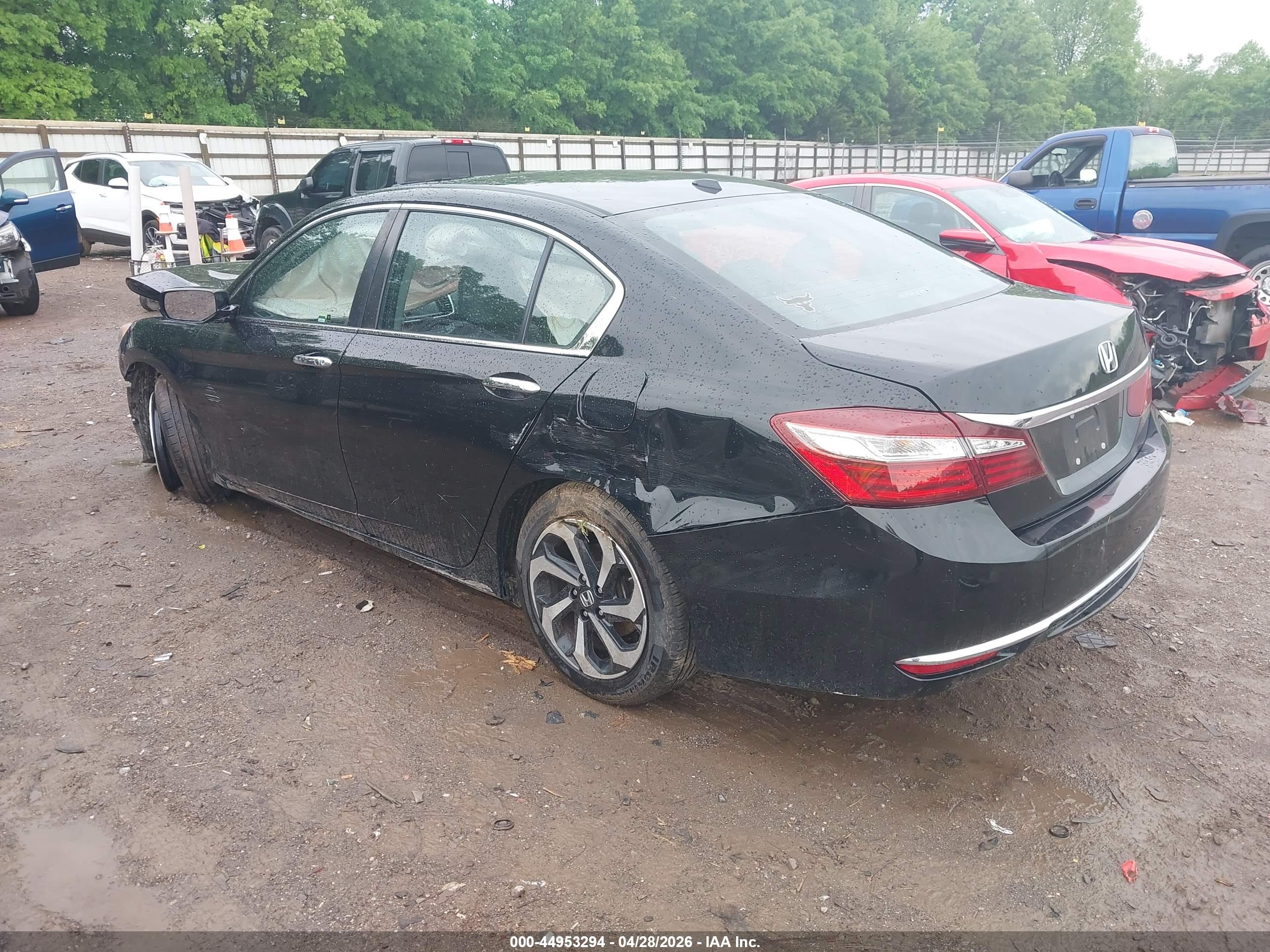 HONDA ACCORD image 3