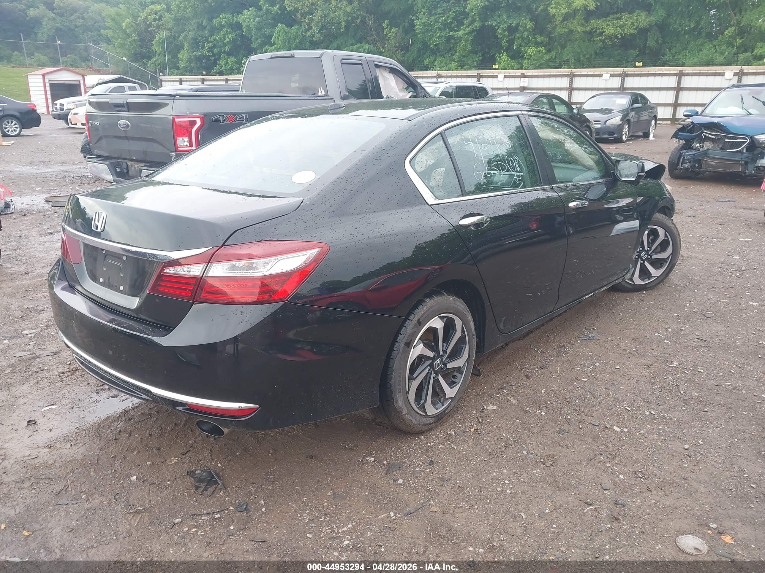 HONDA ACCORD image 4