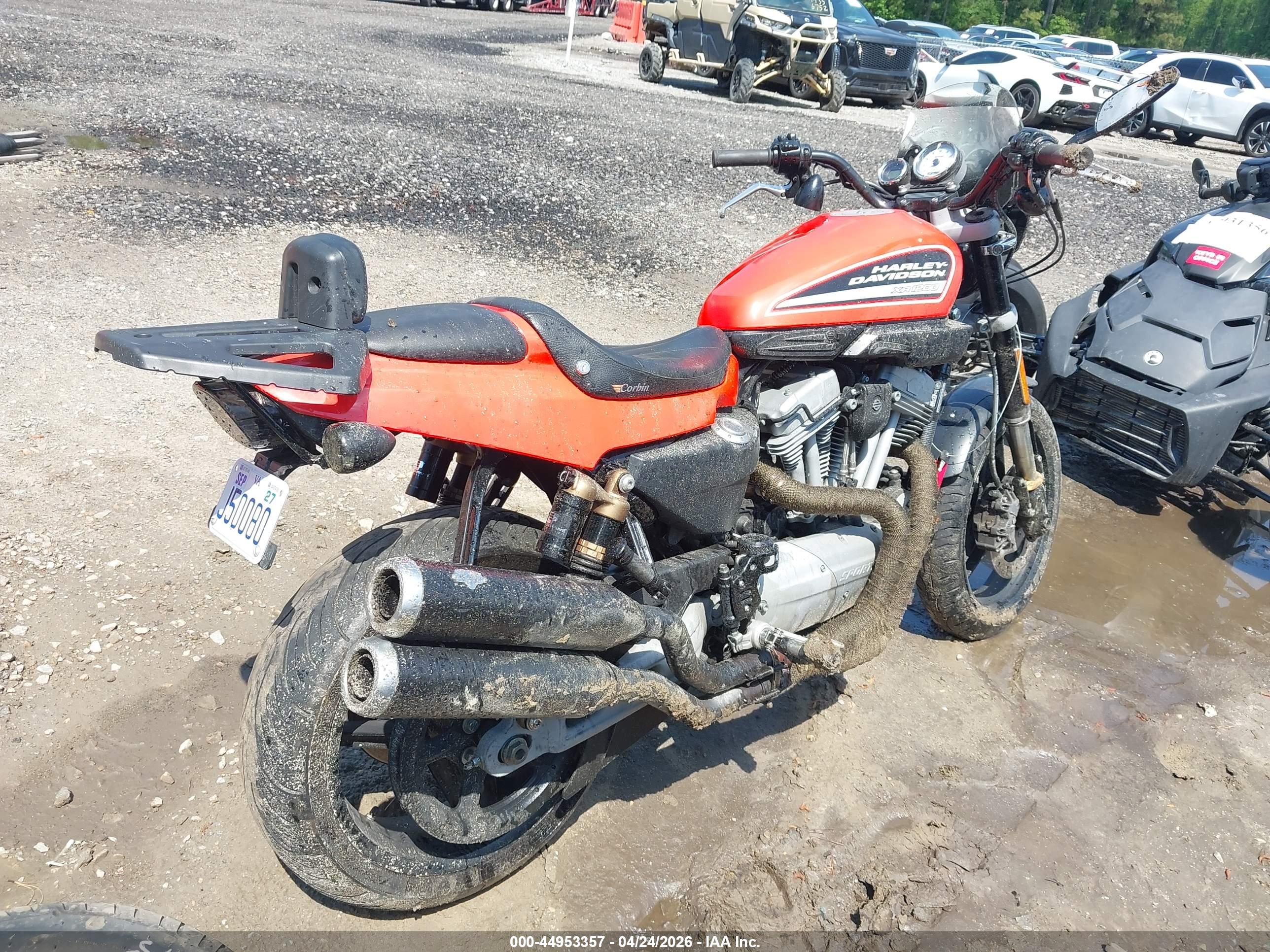 HARLEY-DAVIDSON XR1200 image 4