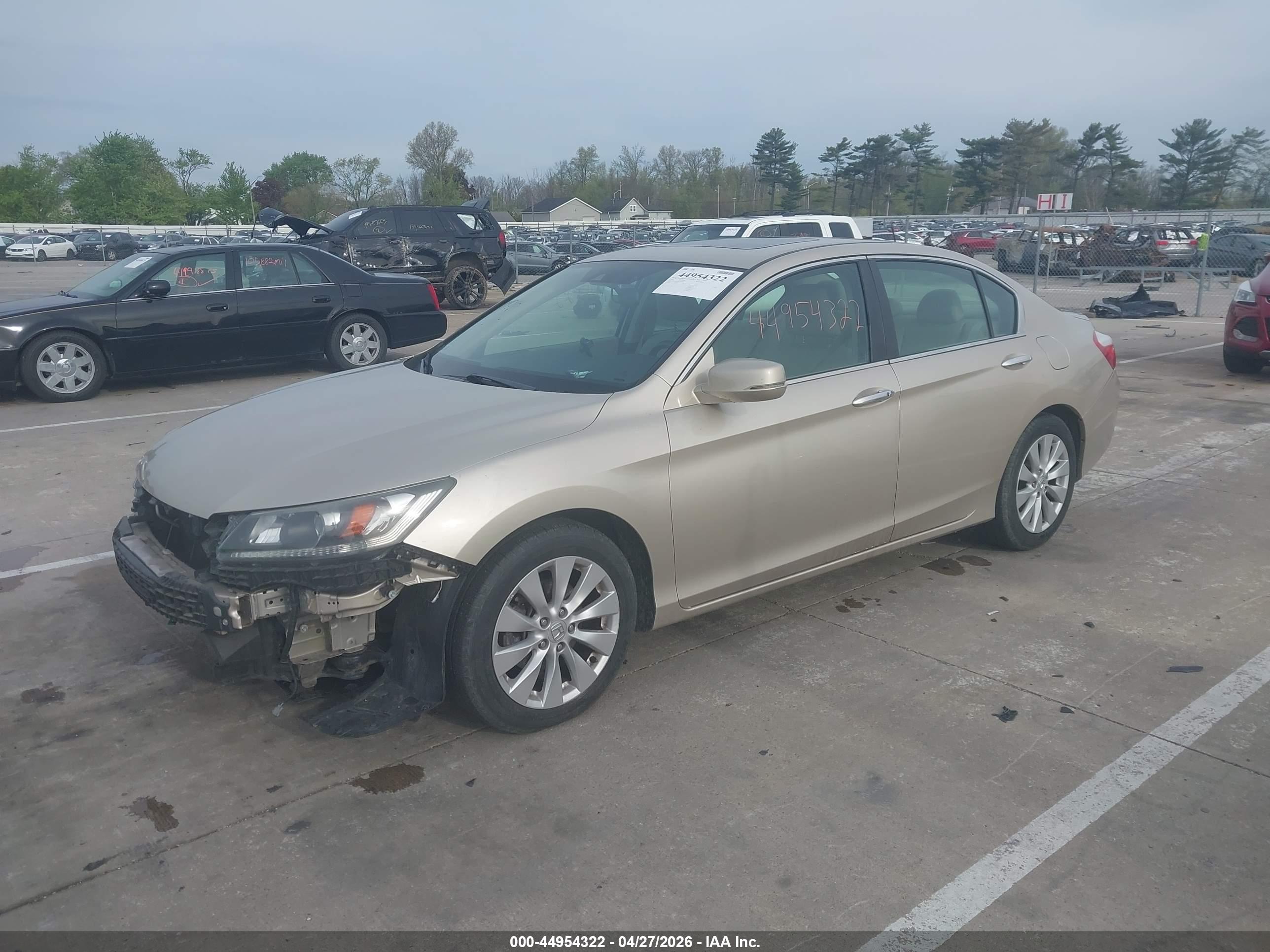 HONDA ACCORD image 2