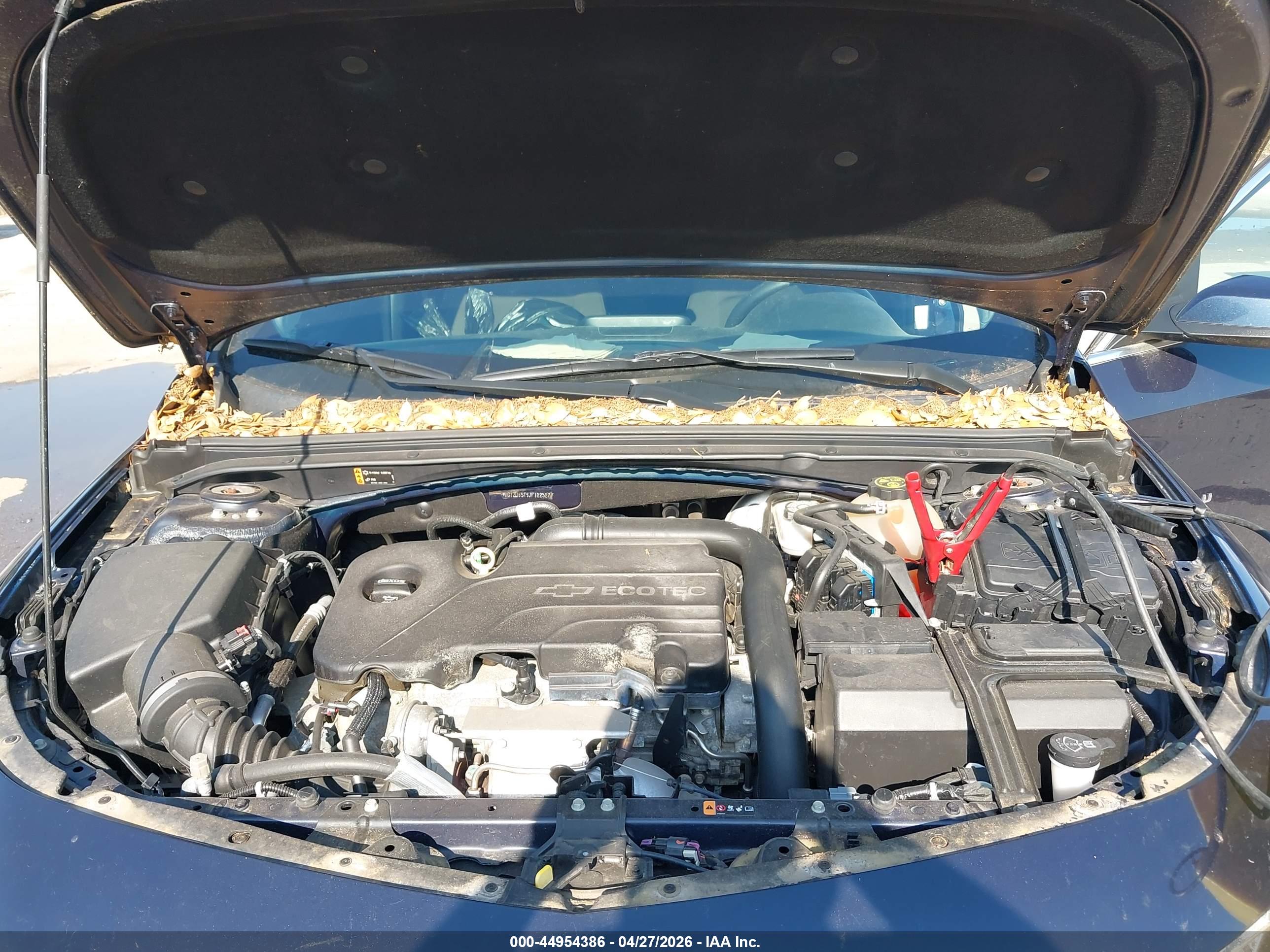CHEVROLET MALIBU image 10