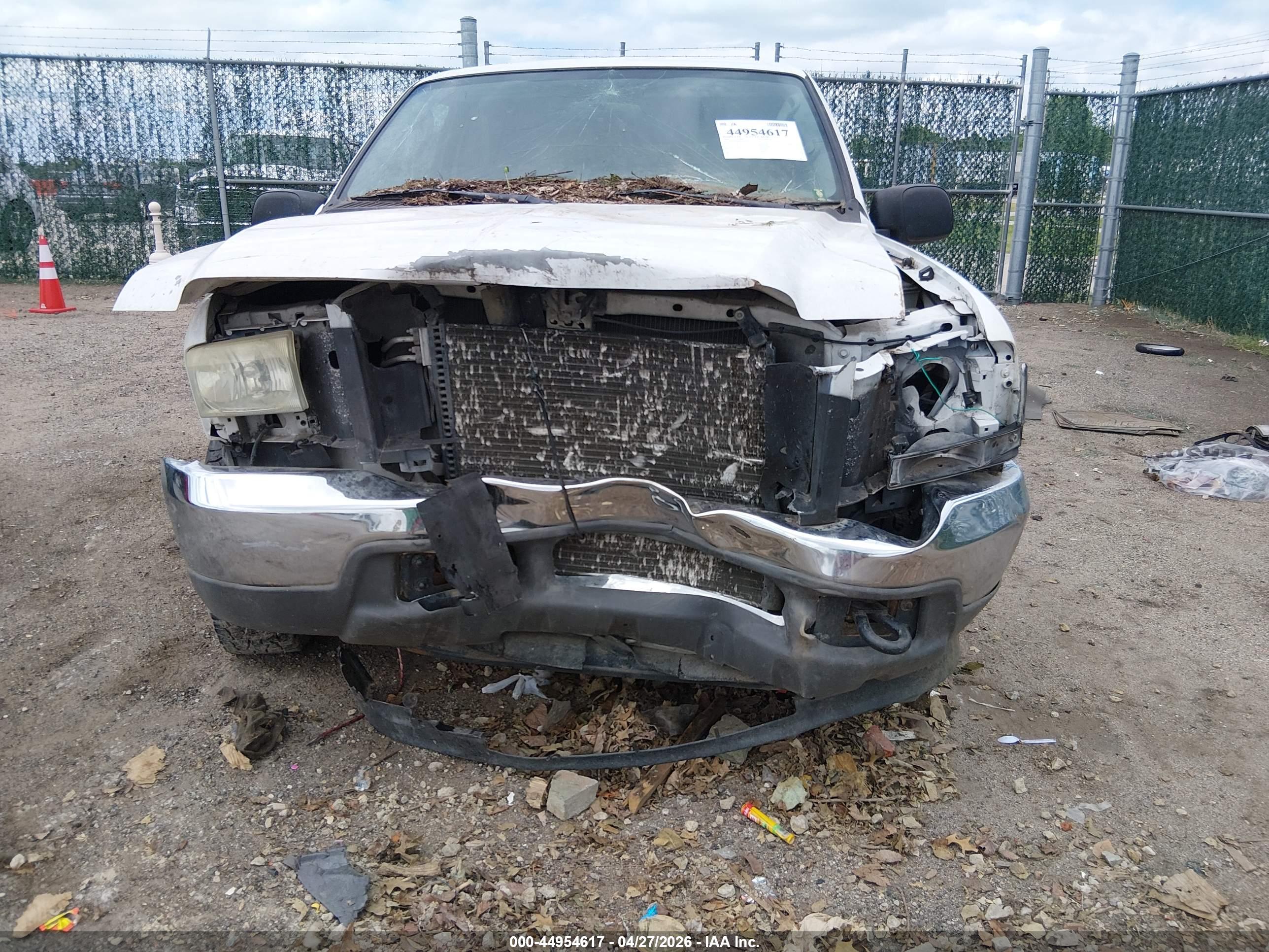 FORD EXCURSION image 6