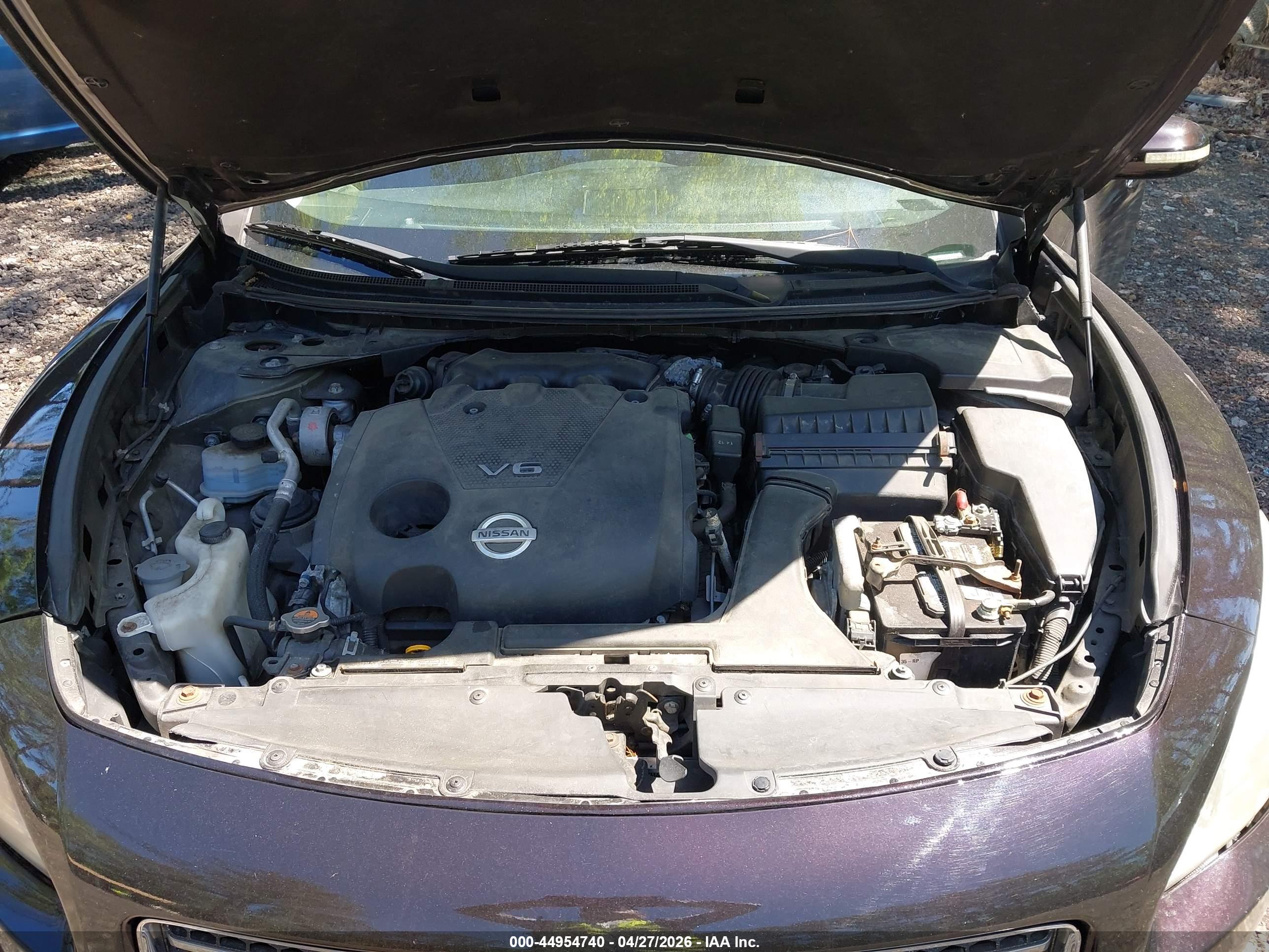 NISSAN MAXIMA image 10