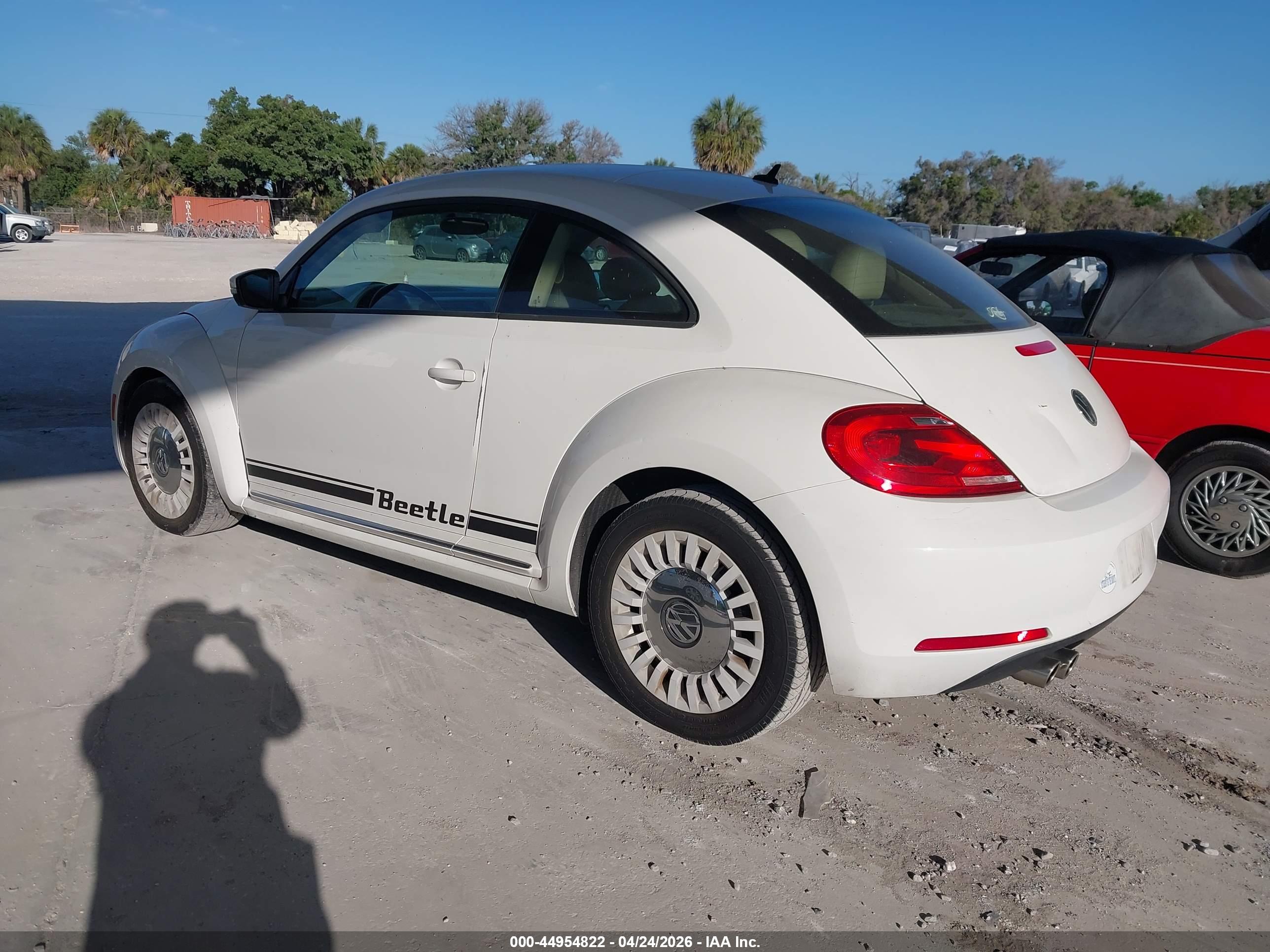 VOLKSWAGEN BEETLE image 3