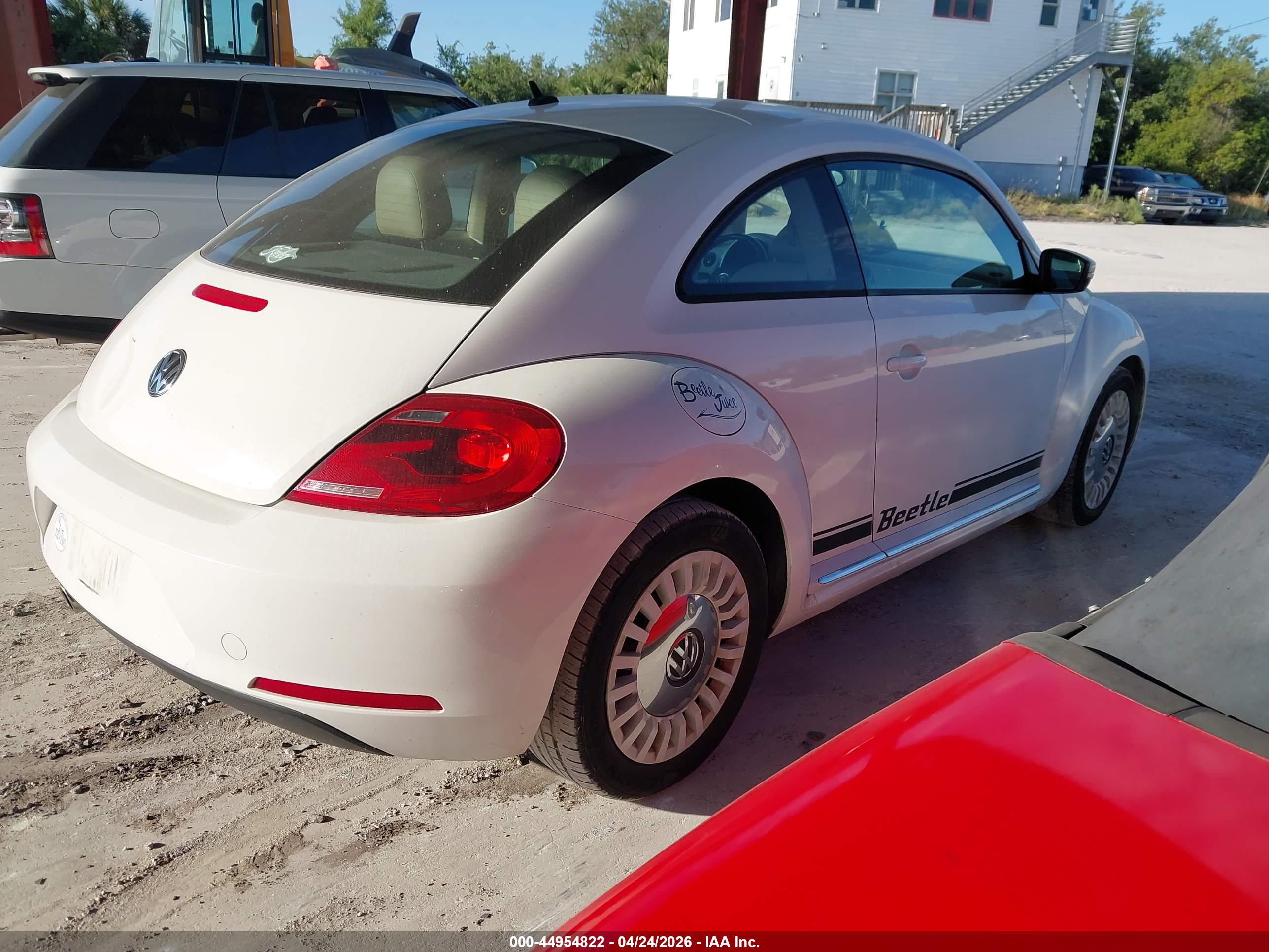 VOLKSWAGEN BEETLE image 4