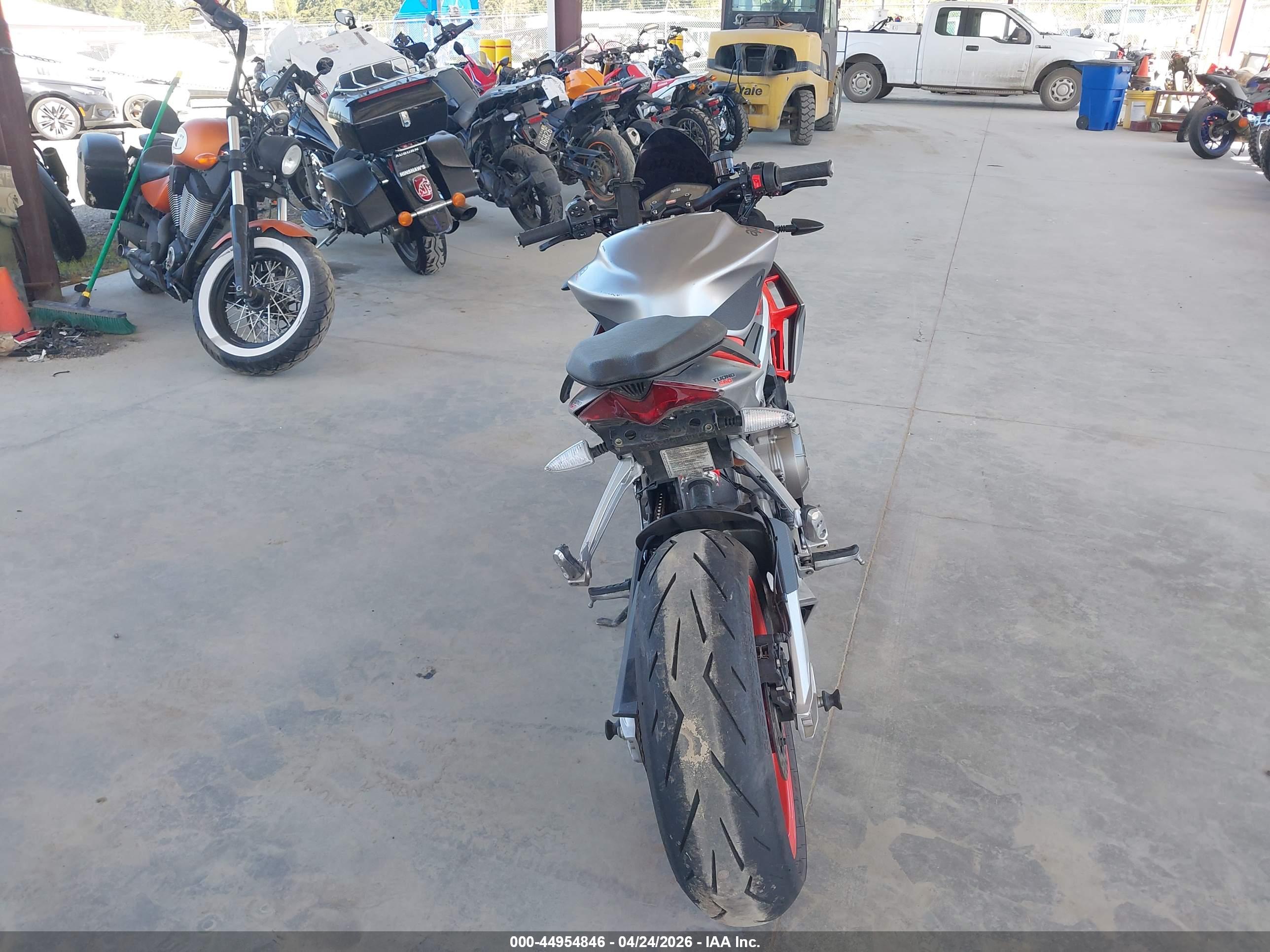 APRILIA TUONO image 6