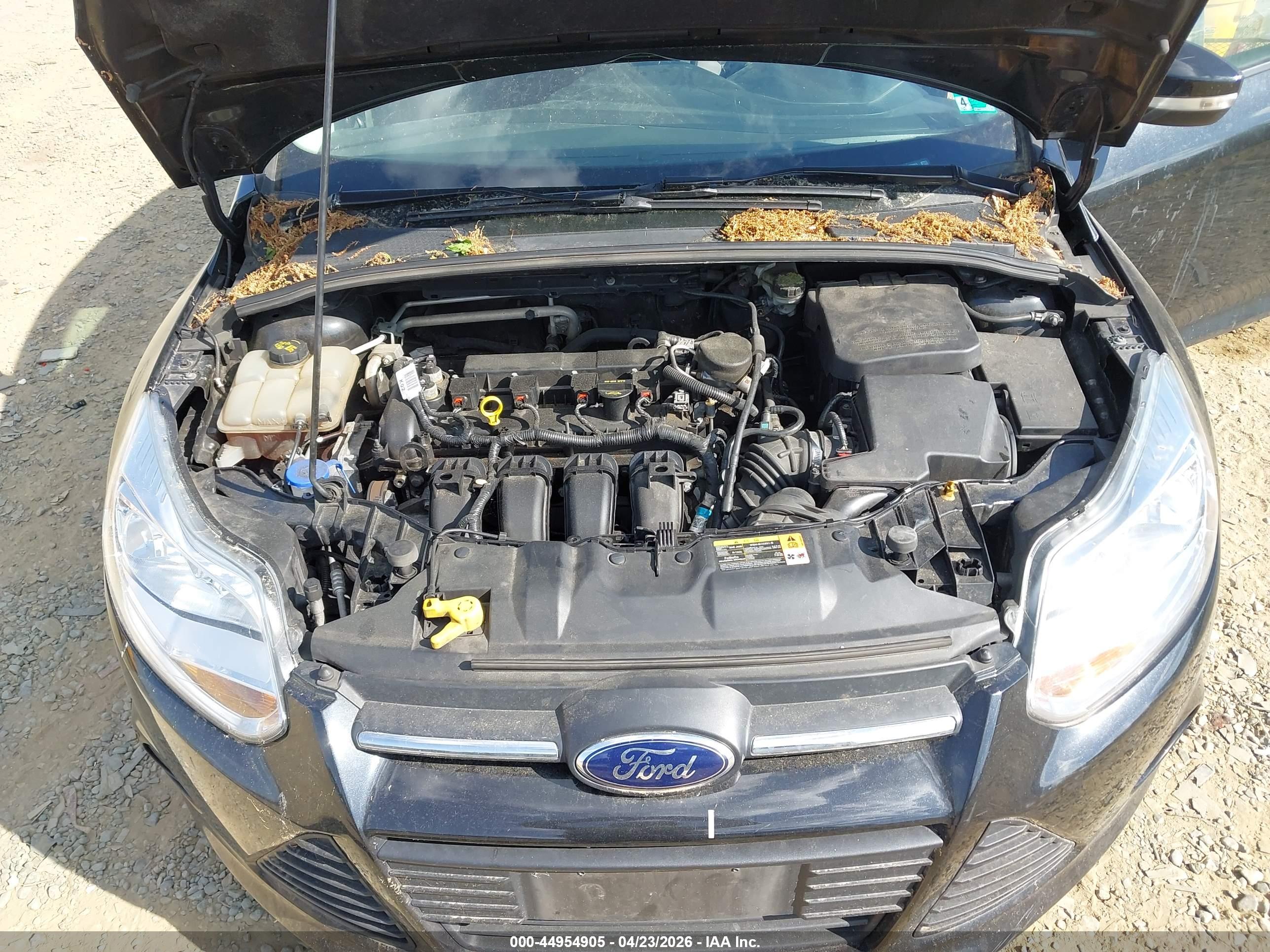 FORD FOCUS image 10