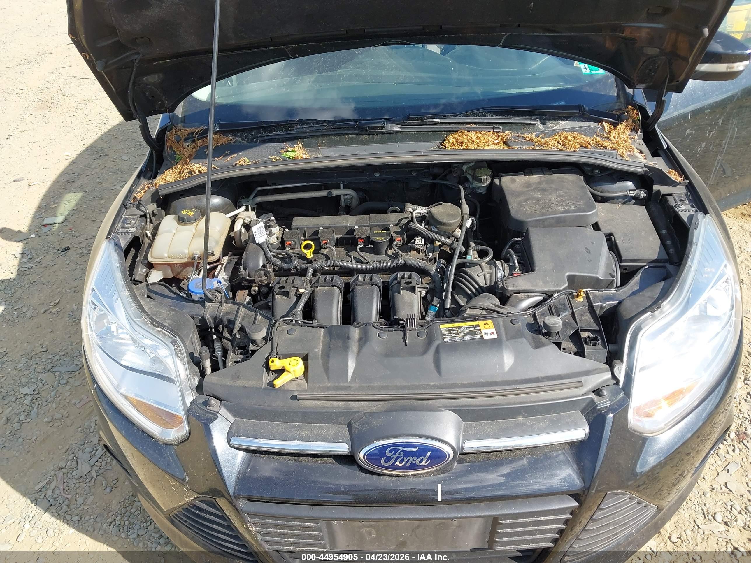 FORD FOCUS image 6