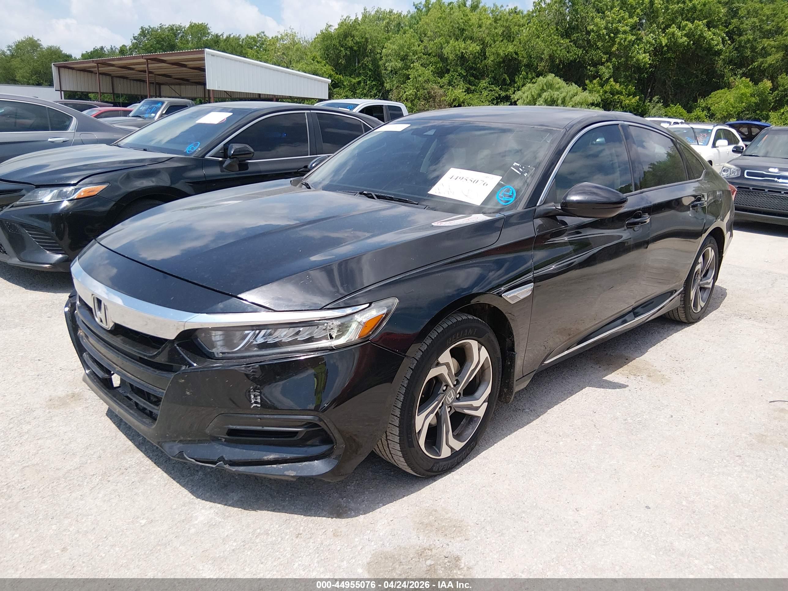 HONDA ACCORD image 2