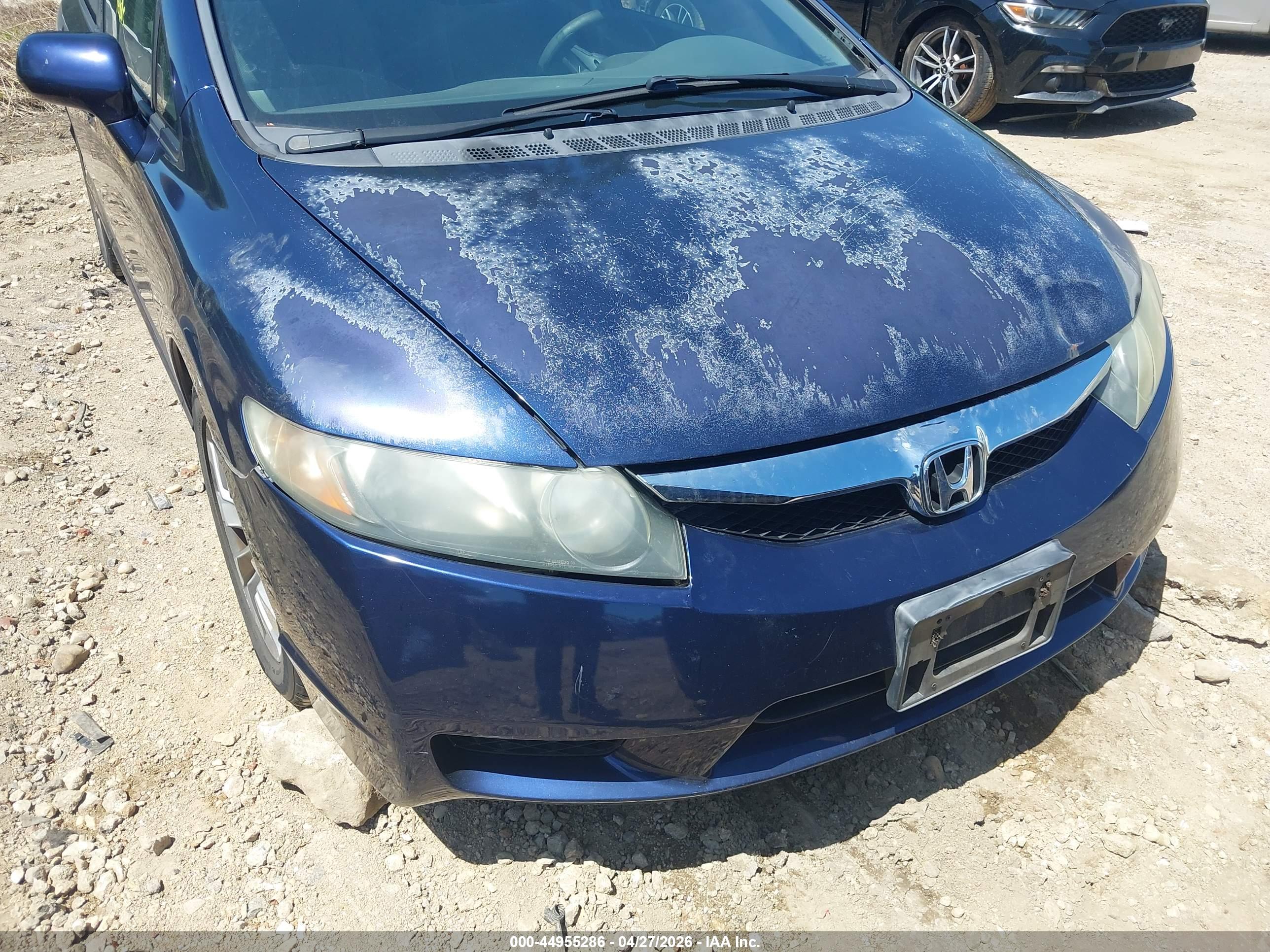 HONDA CIVIC image 6