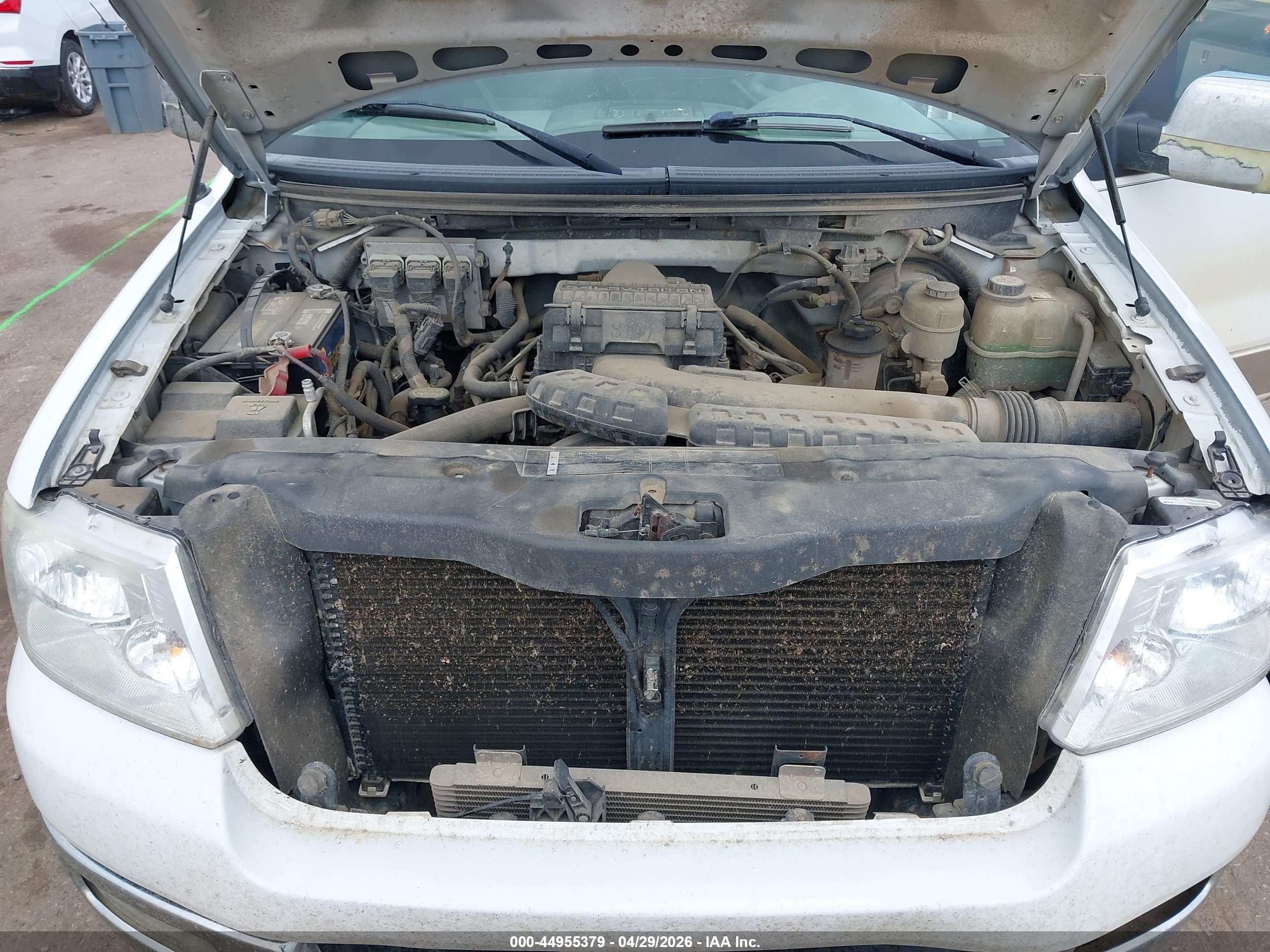 FORD F-150 image 10