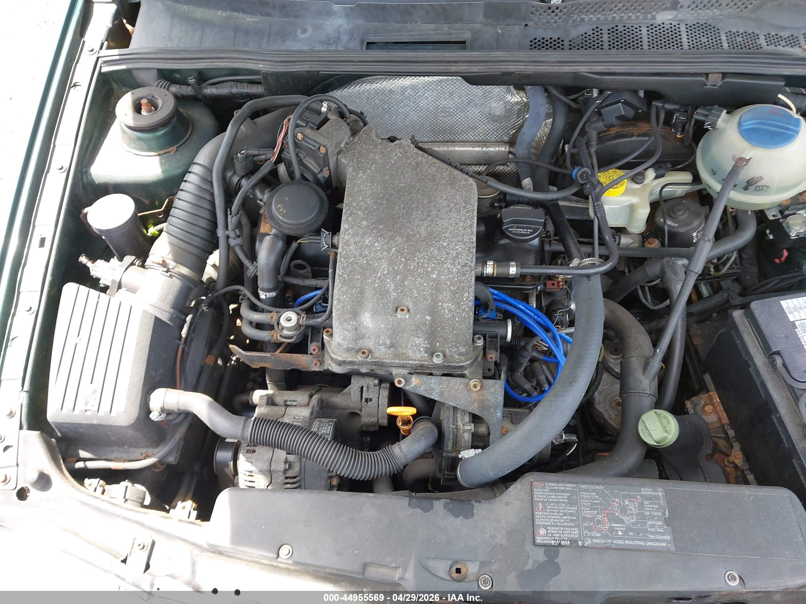 VOLKSWAGEN CABRIO image 10