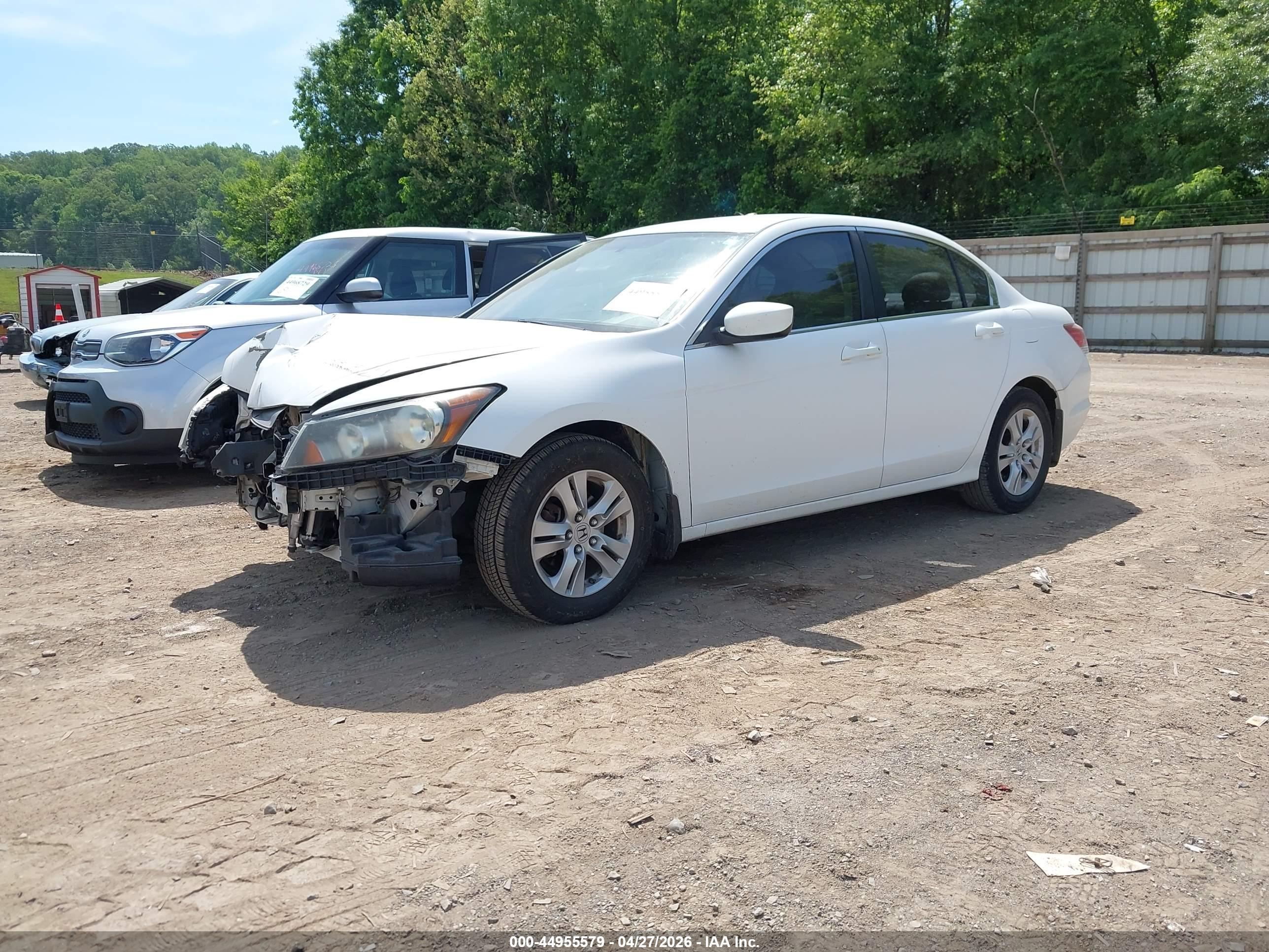 HONDA ACCORD image 2