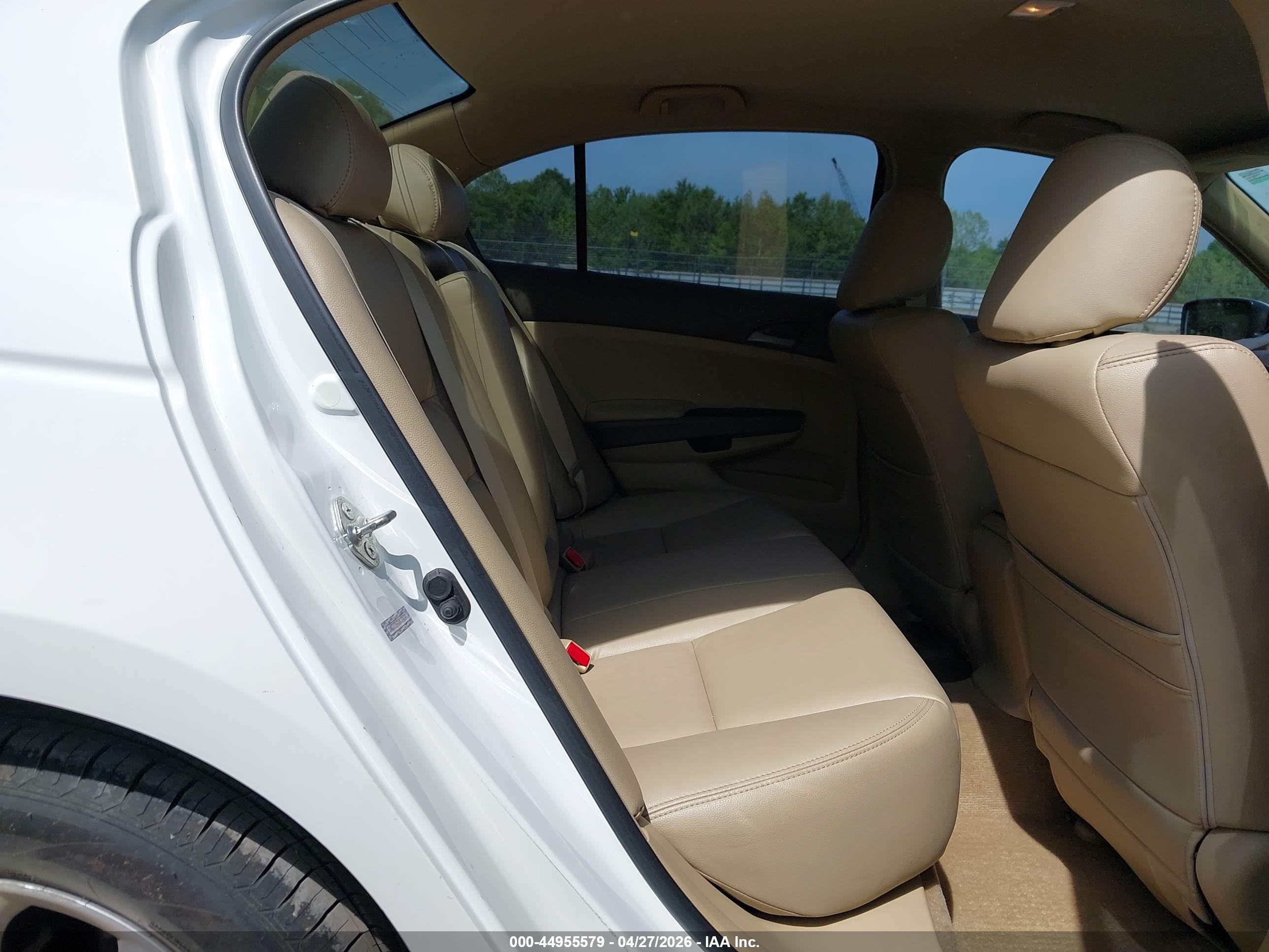 HONDA ACCORD image 8