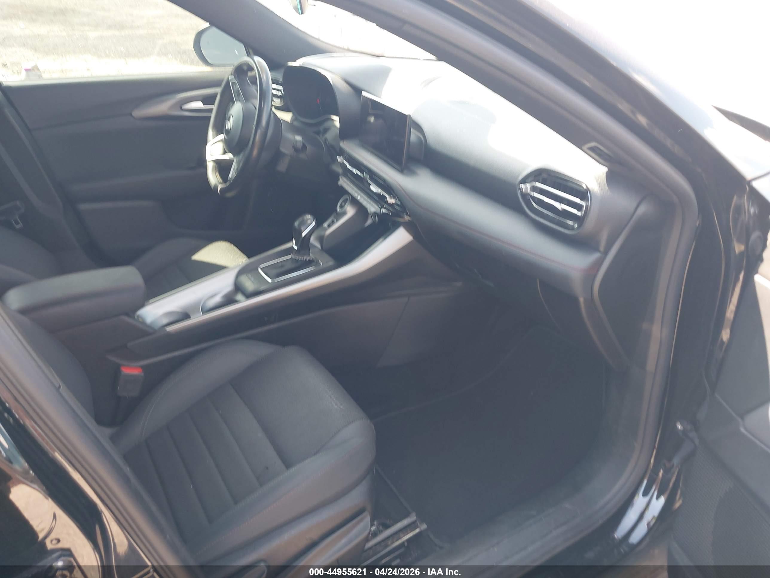 DODGE HORNET image 5