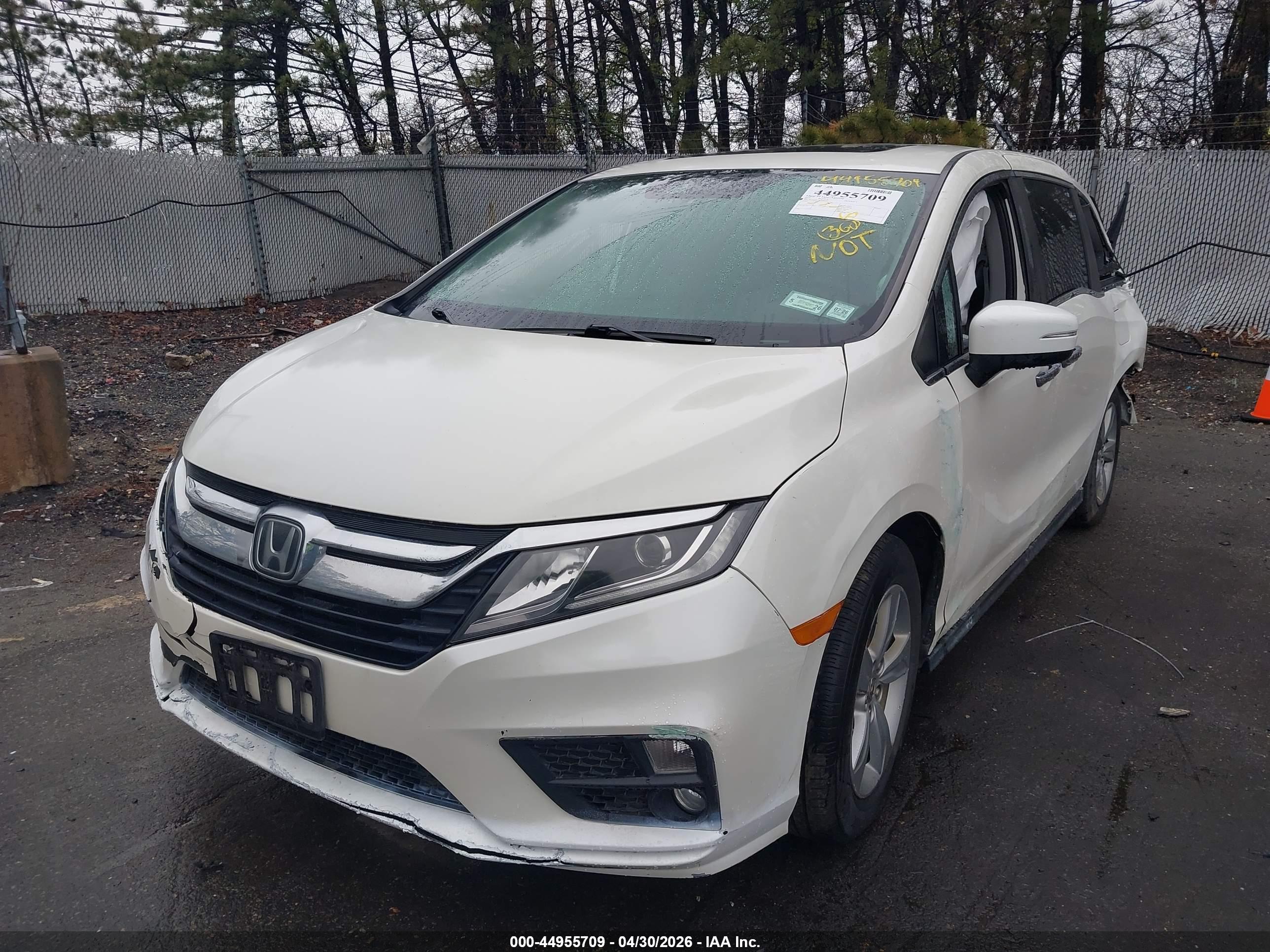 HONDA ODYSSEY image 2