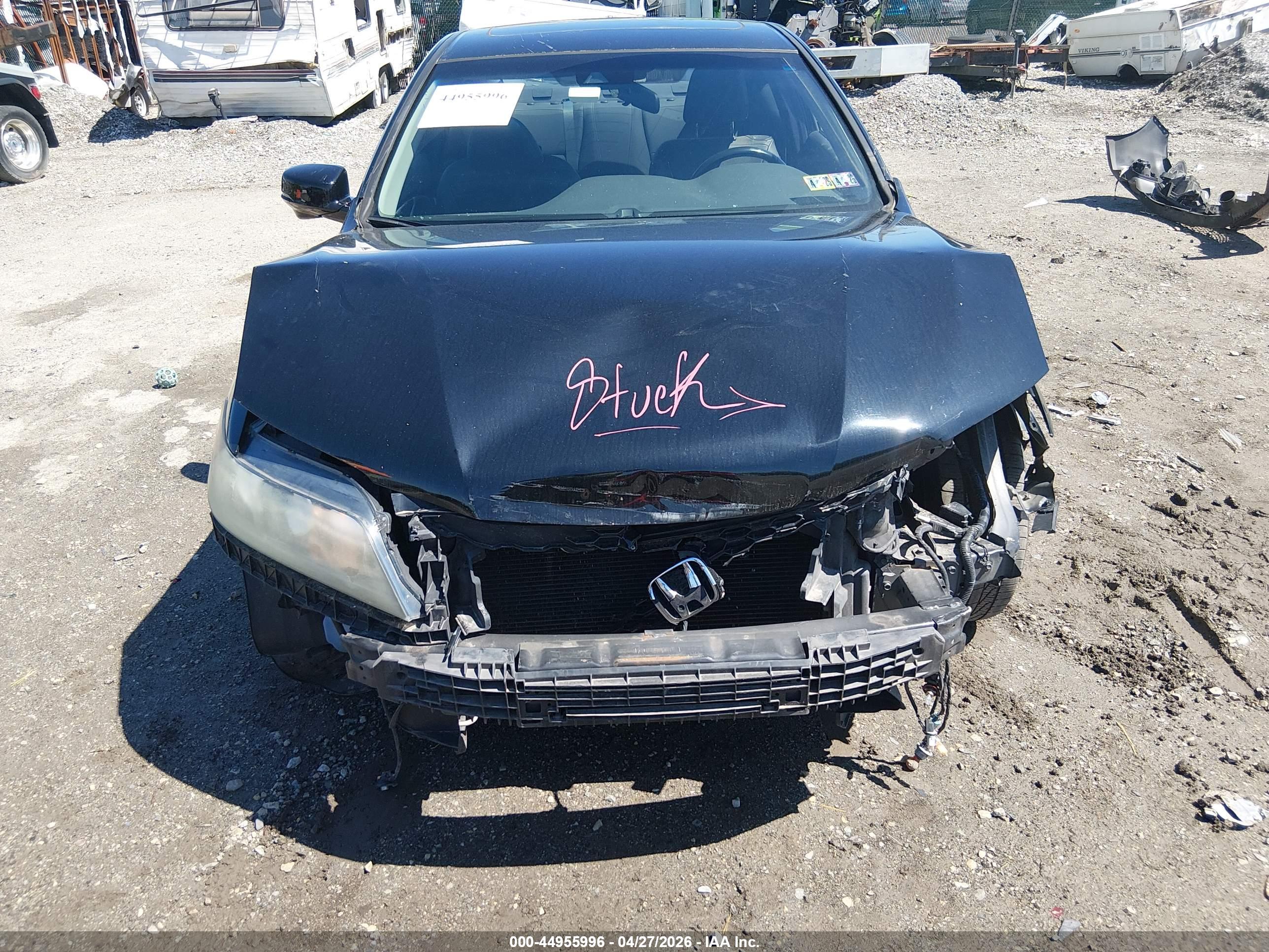 HONDA ACCORD image 6