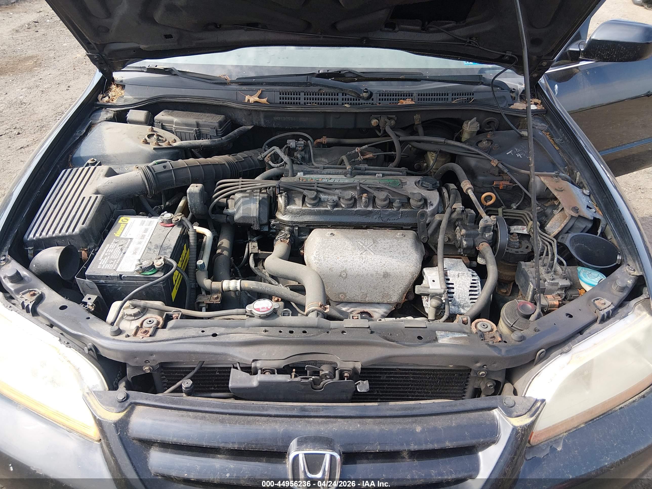 HONDA ACCORD image 10