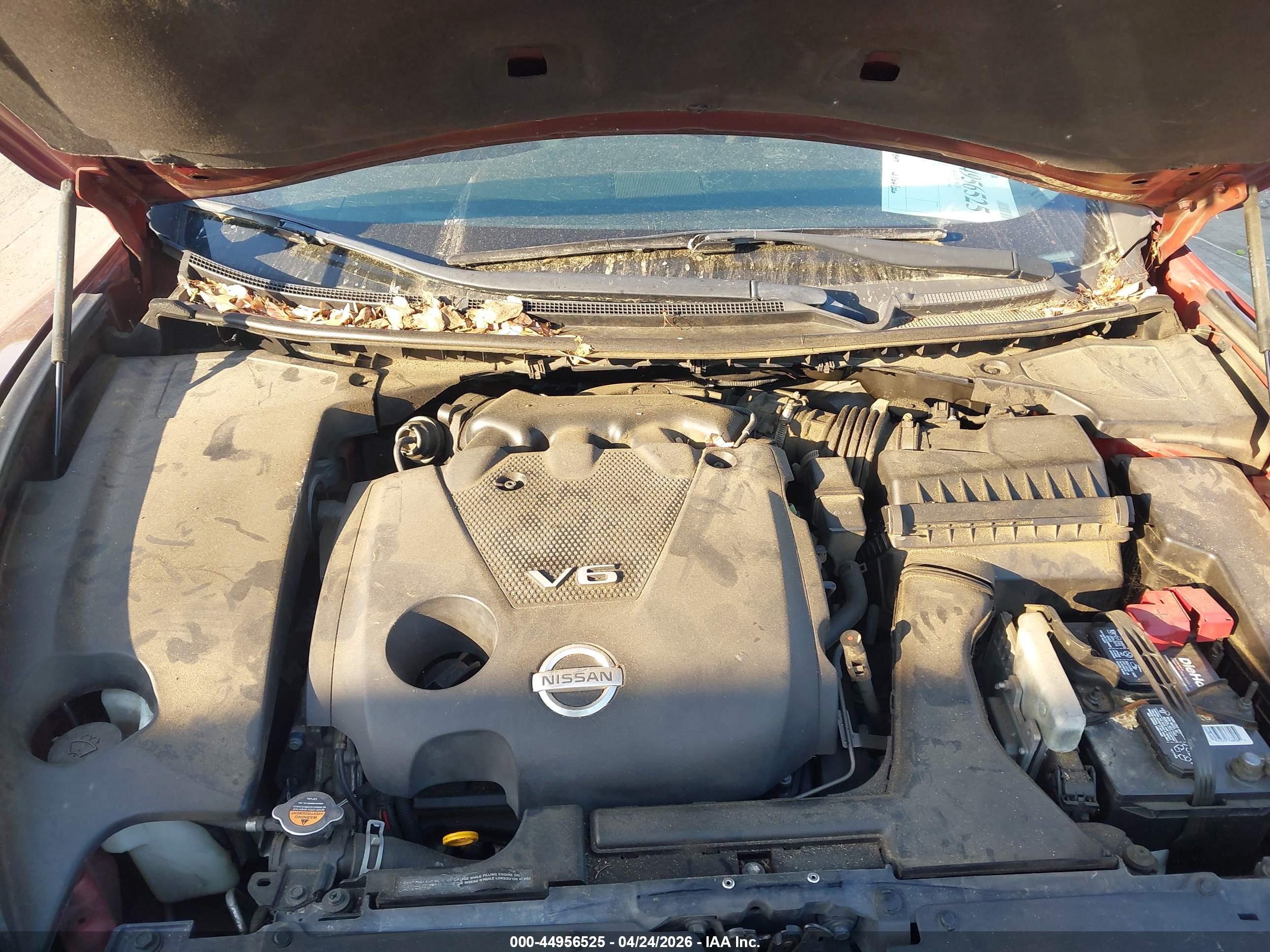 NISSAN MAXIMA image 10