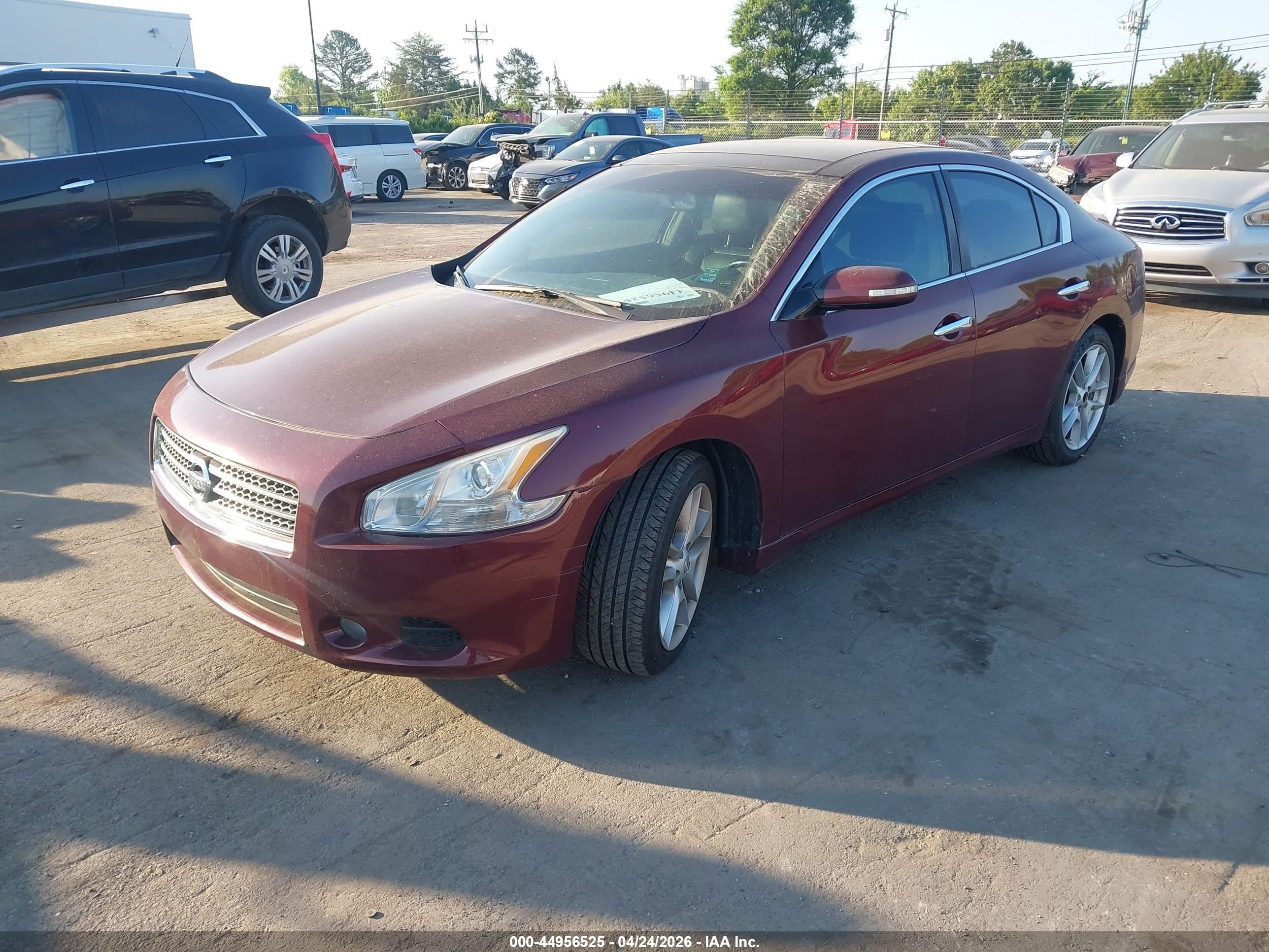 NISSAN MAXIMA image 2
