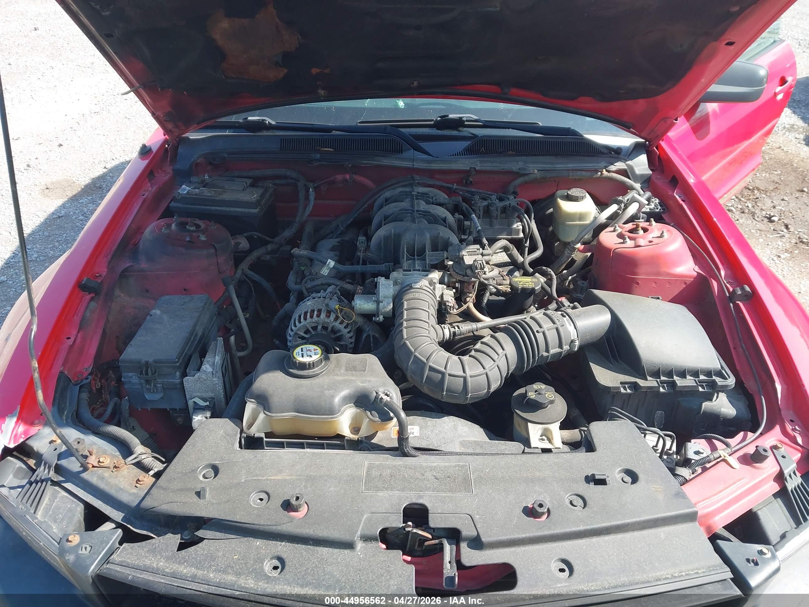 FORD MUSTANG image 10