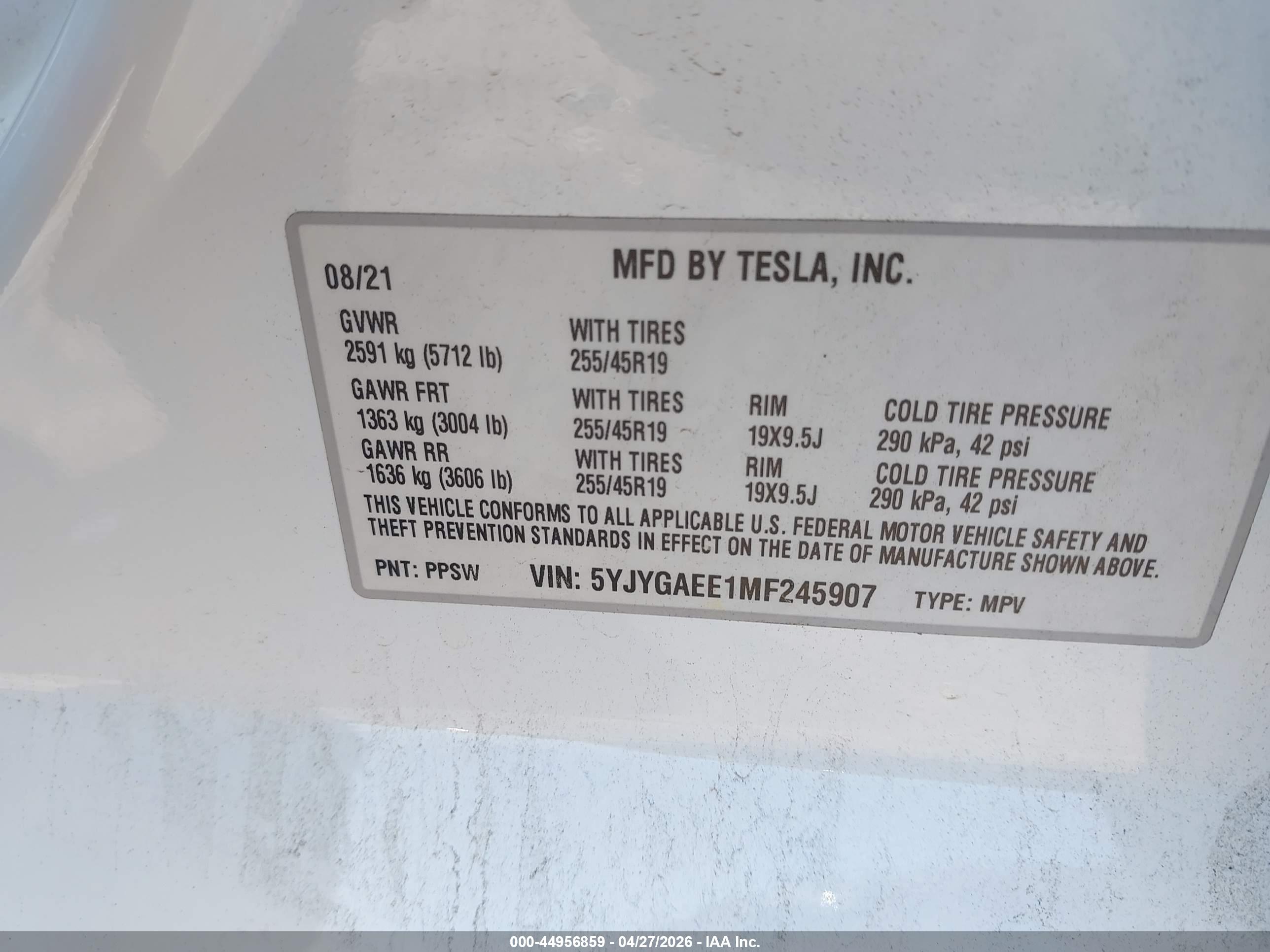 TESLA MODEL image 9
