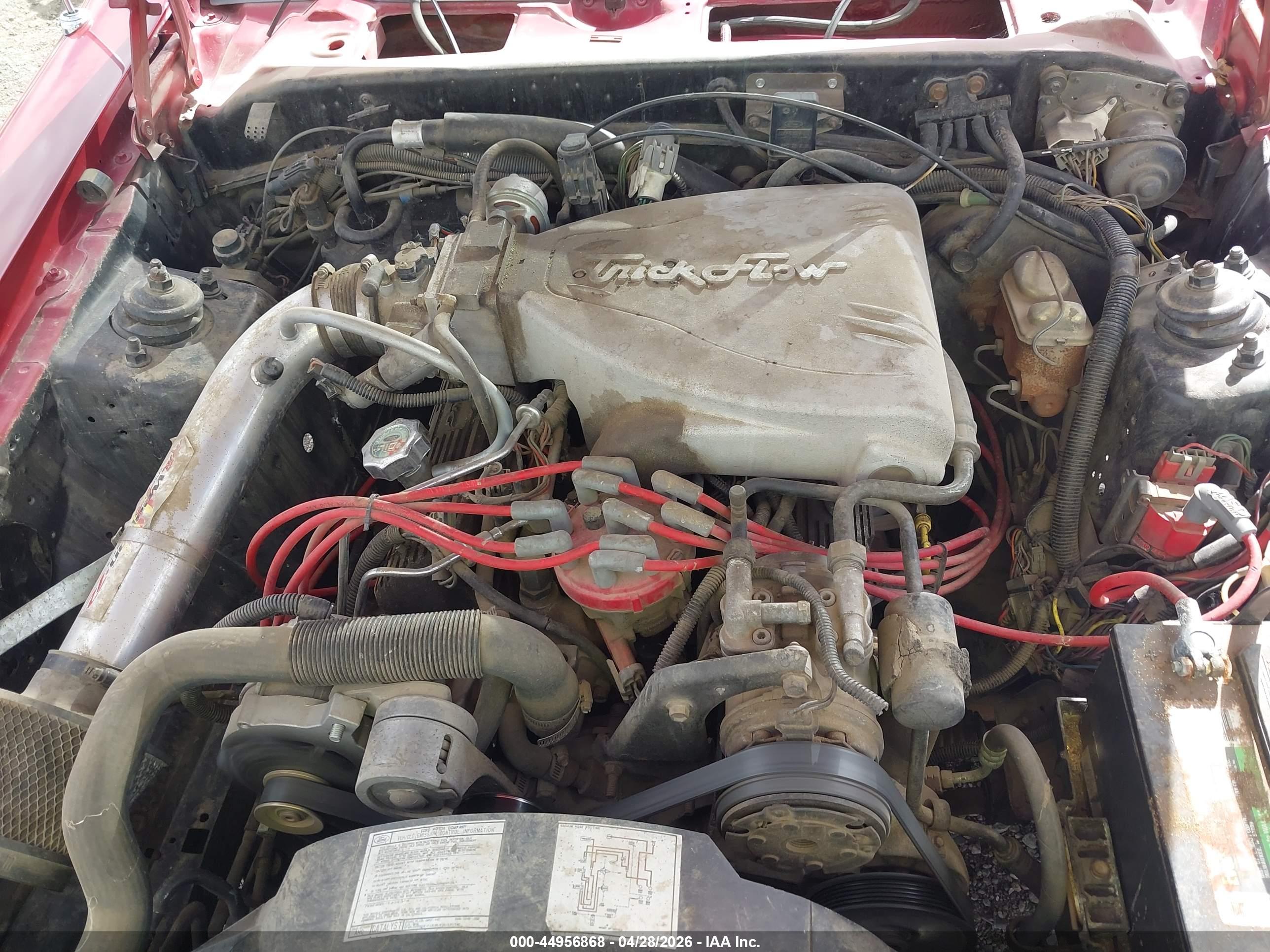 FORD THUNDERBIRD image 10