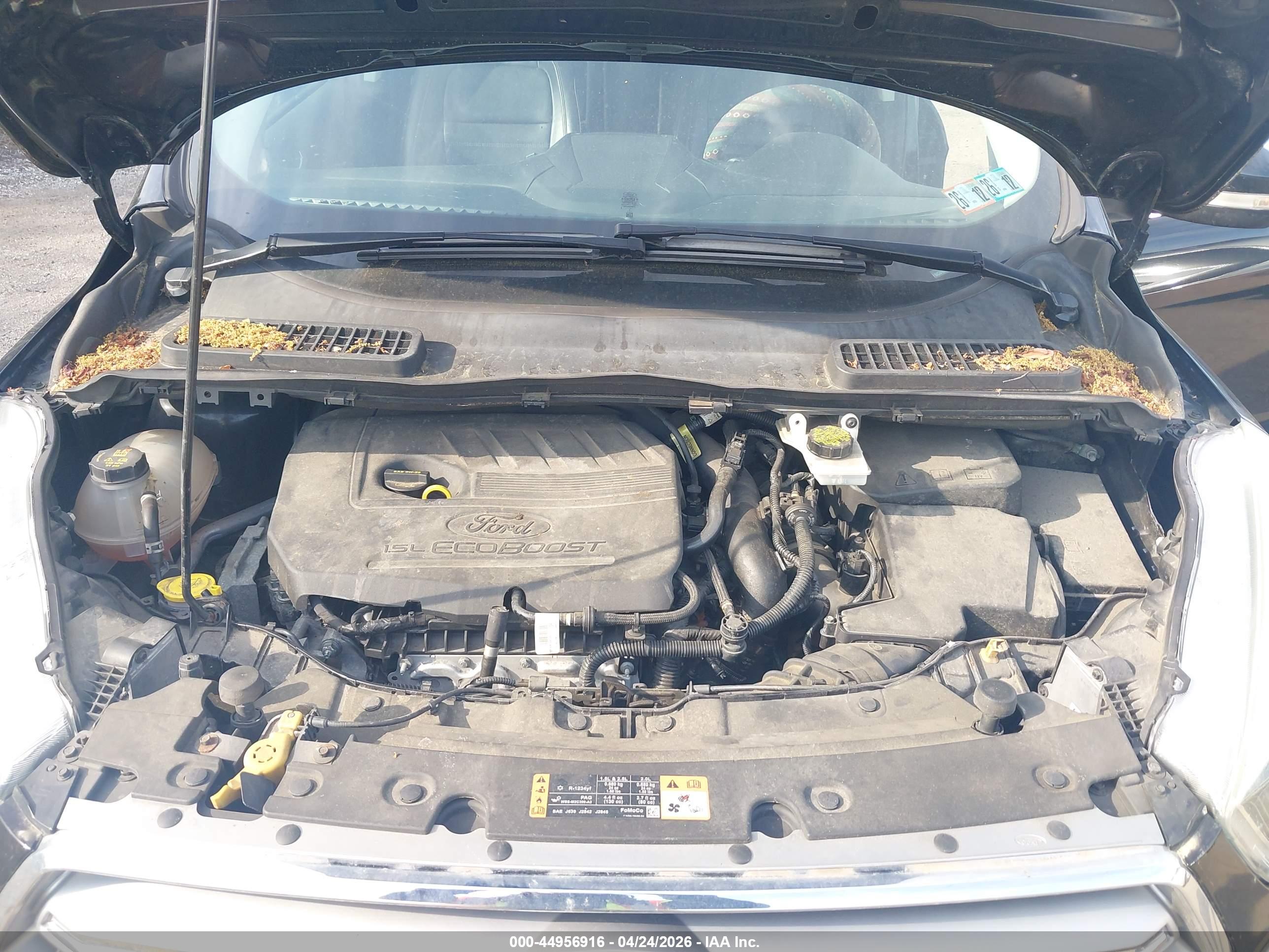 FORD ESCAPE image 10