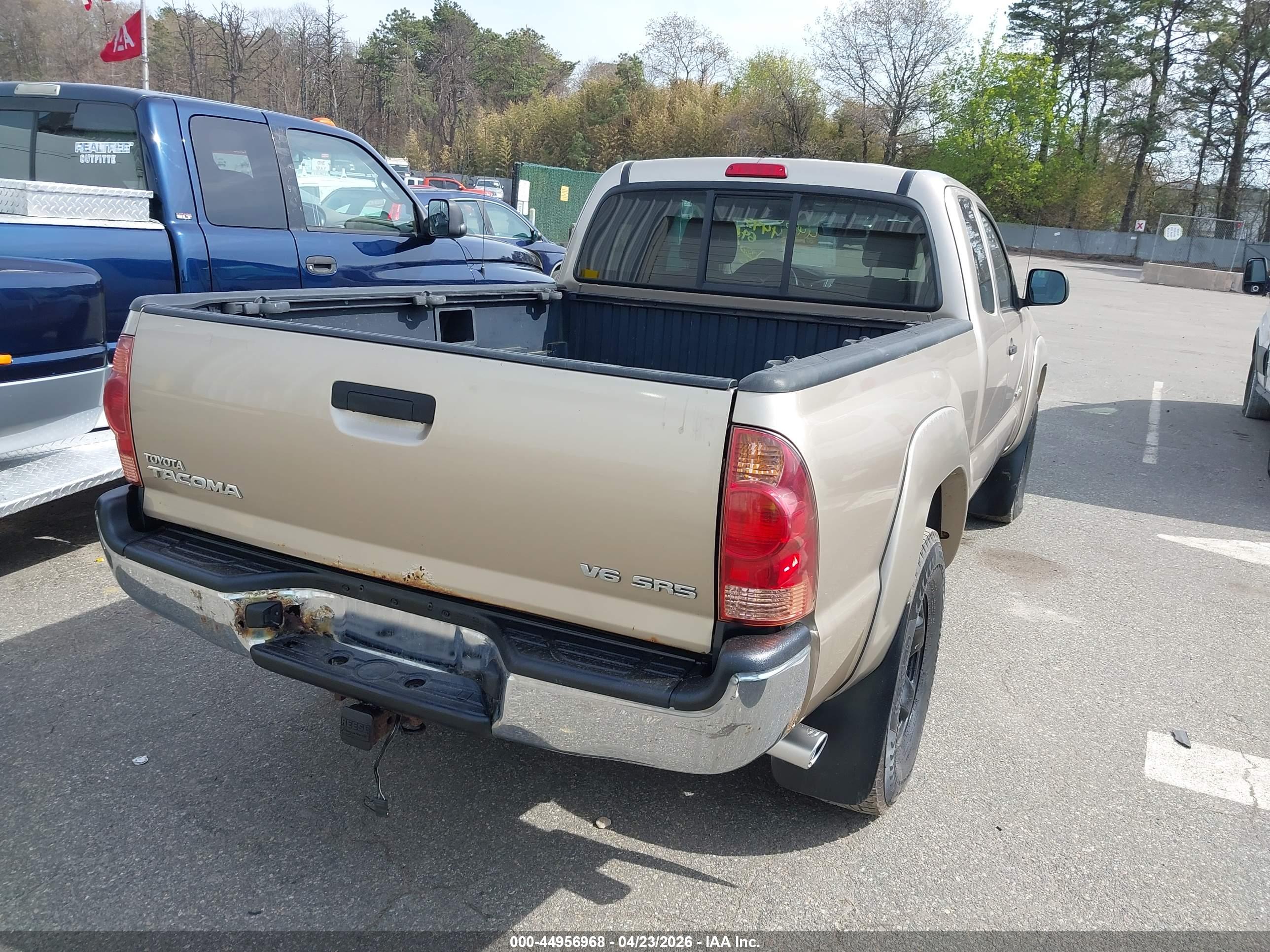 TOYOTA TACOMA image 4