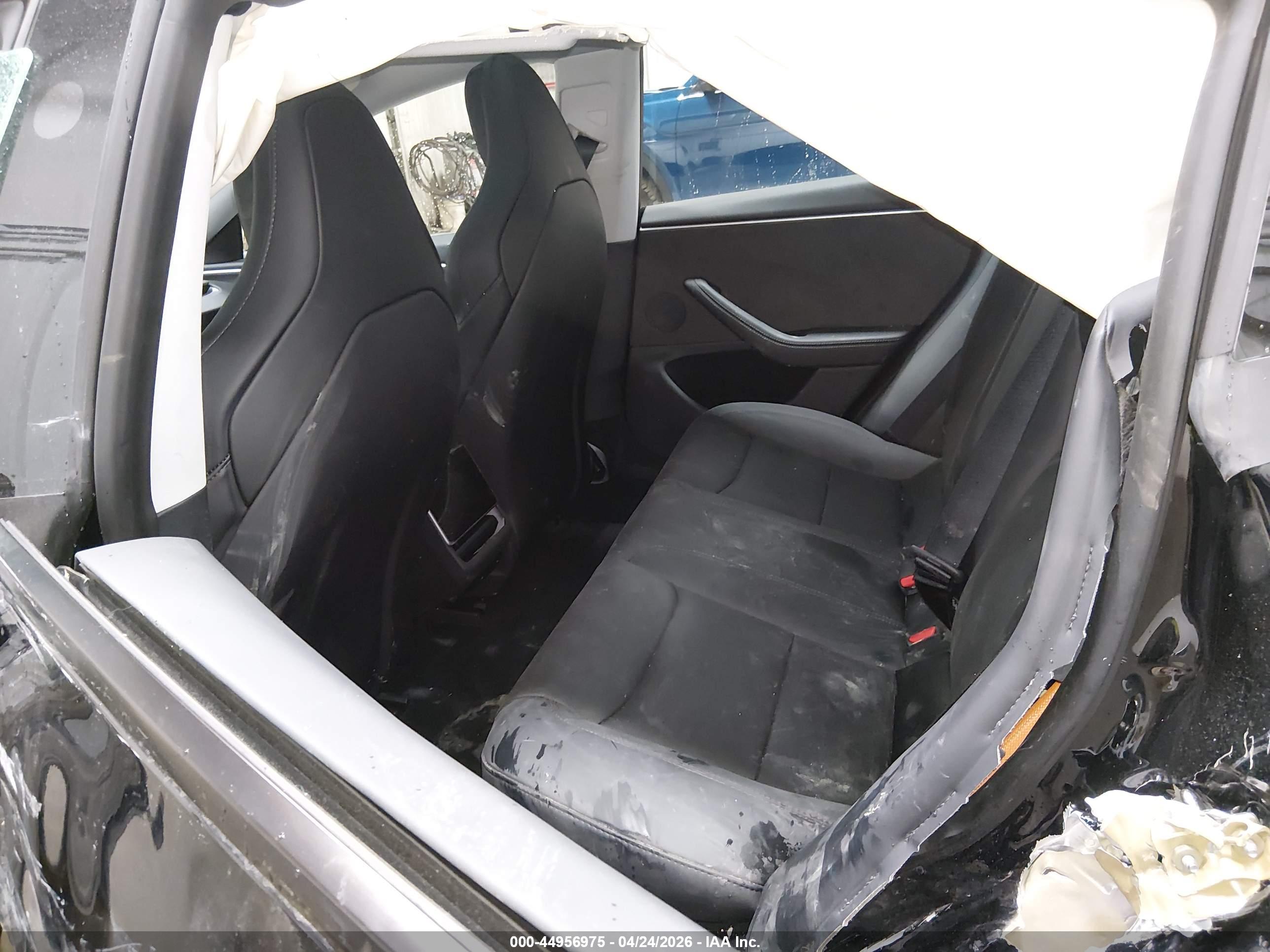 TESLA MODEL image 8