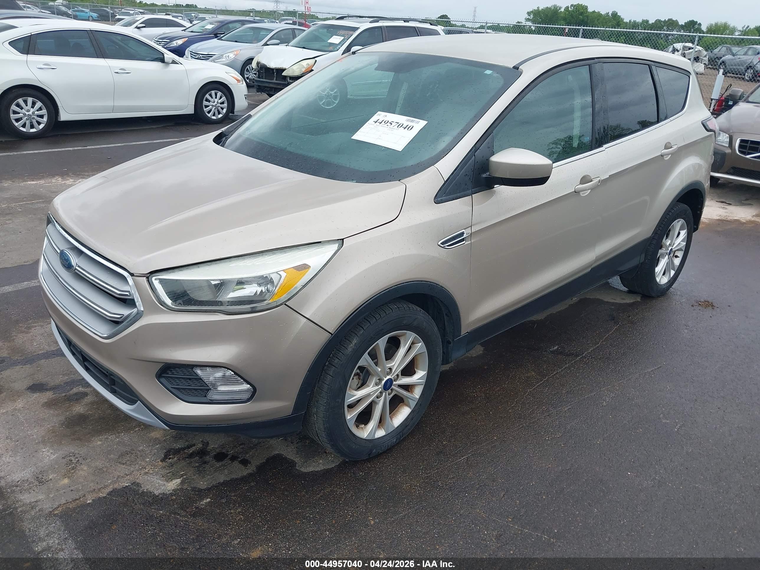 FORD ESCAPE image 2