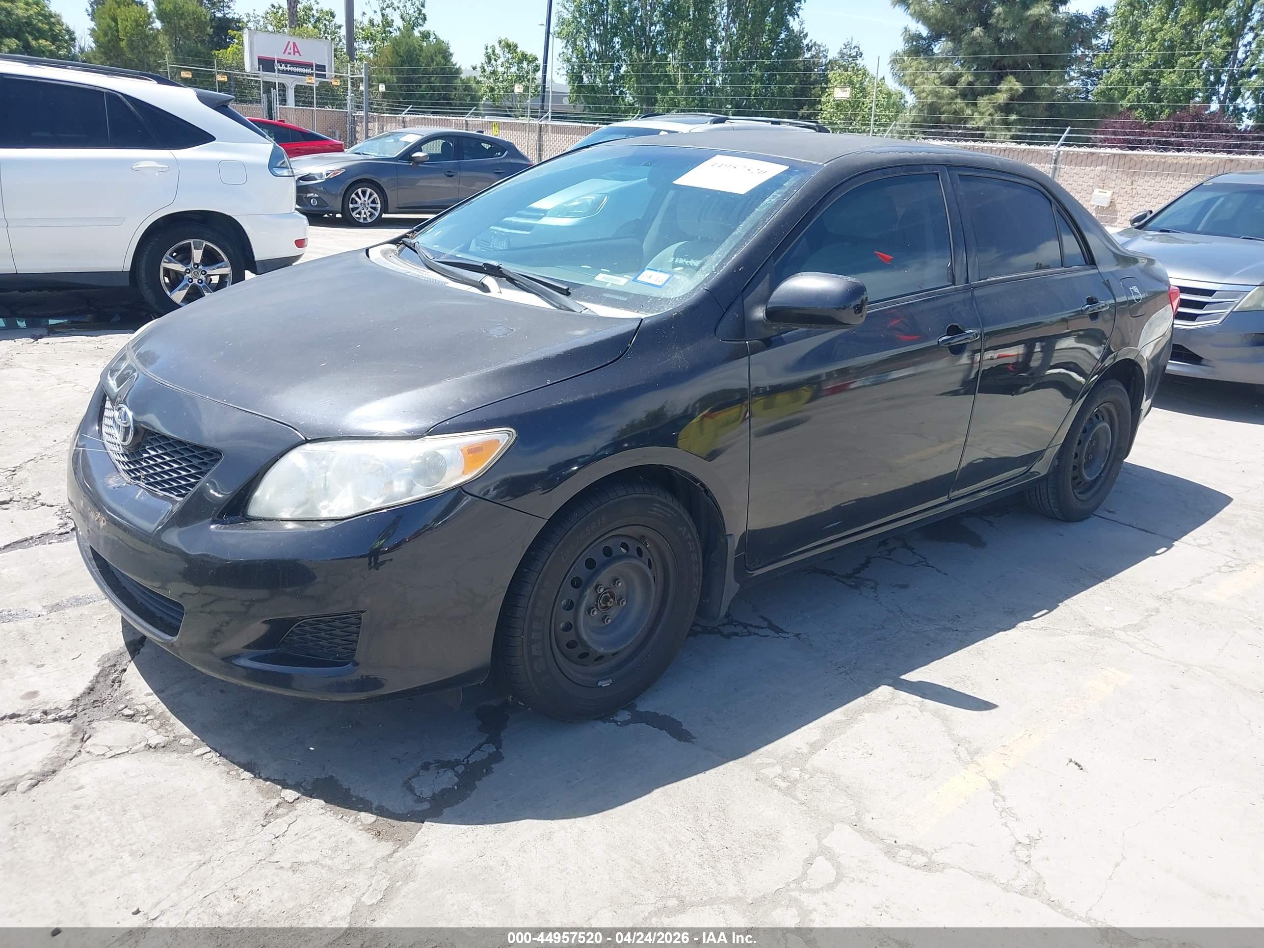 TOYOTA COROLLA image 2