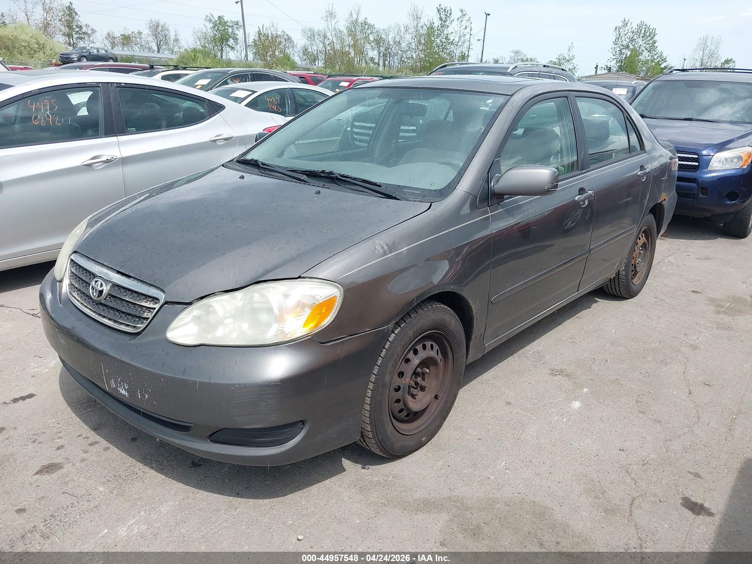 TOYOTA COROLLA image 2