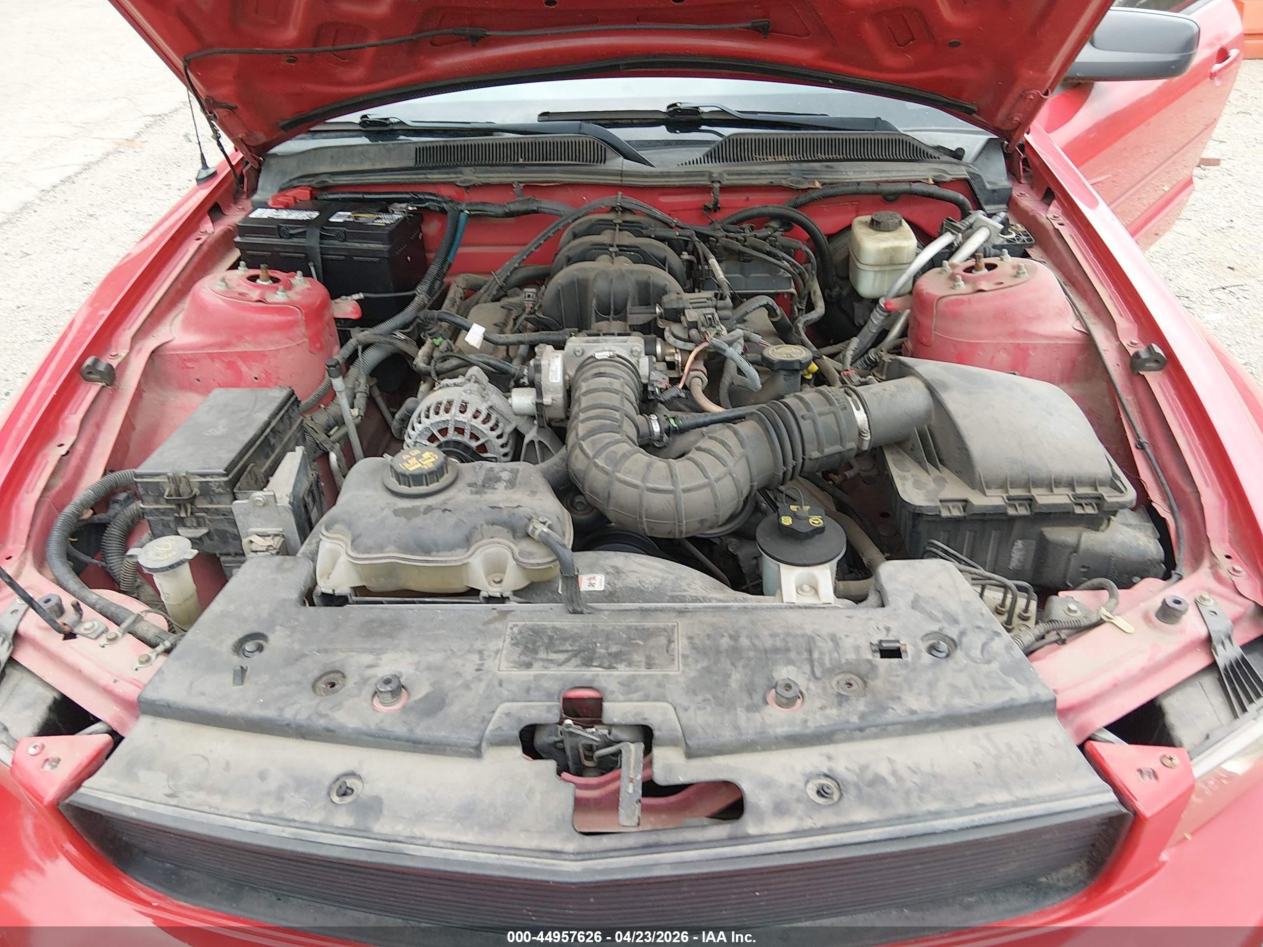 FORD MUSTANG image 10