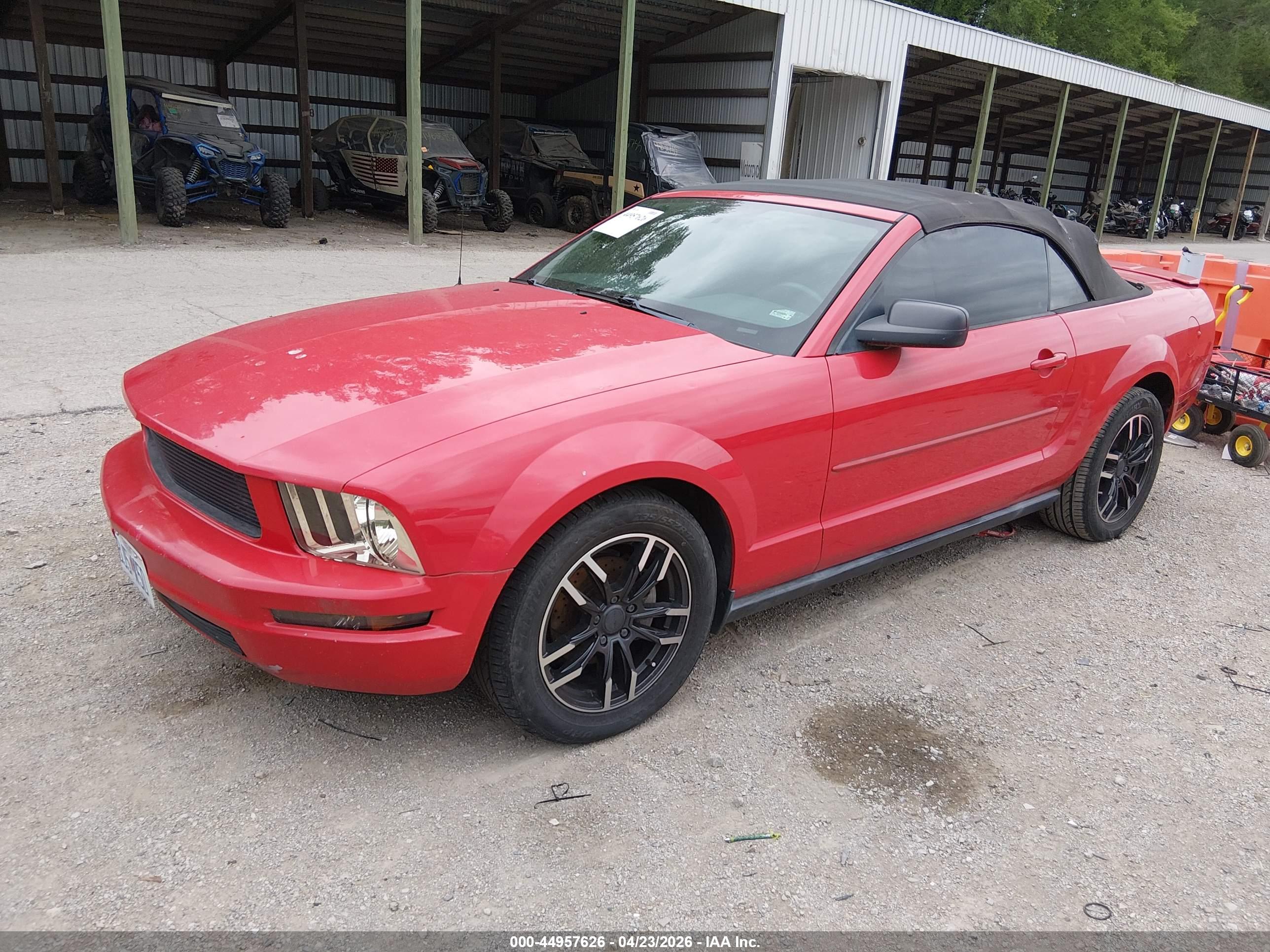 FORD MUSTANG image 2